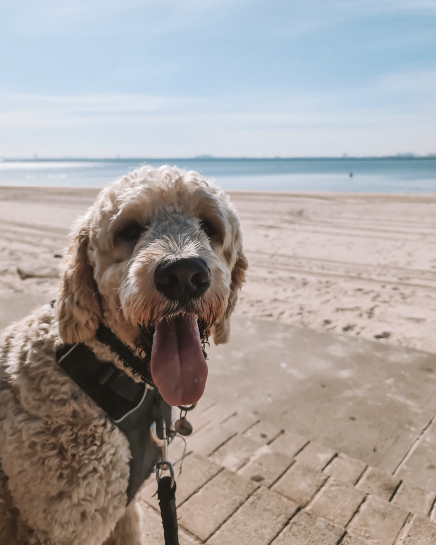 Reframing Your Language During the Pandemic