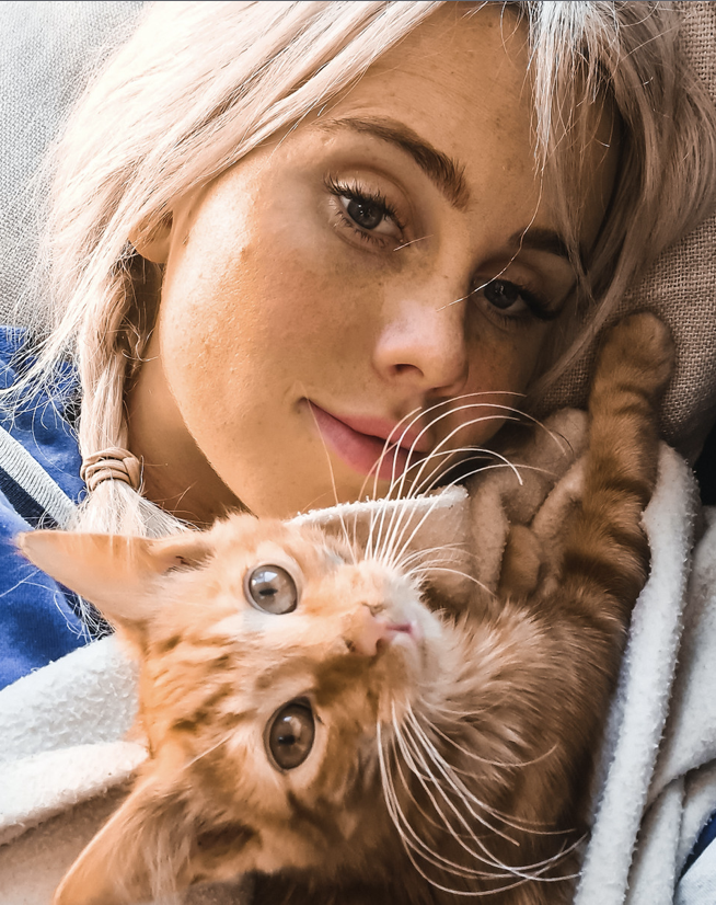 Adopt a Cat Through One of These 8 Agencies