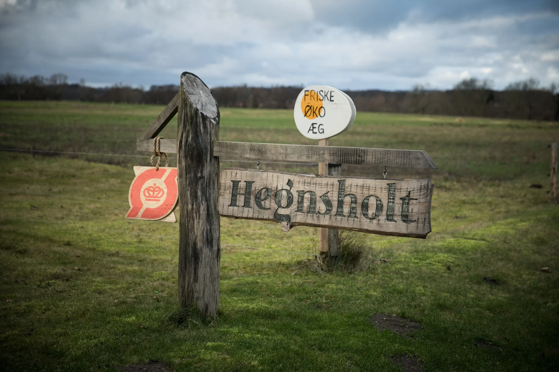 hegnsholt-3467.jpg