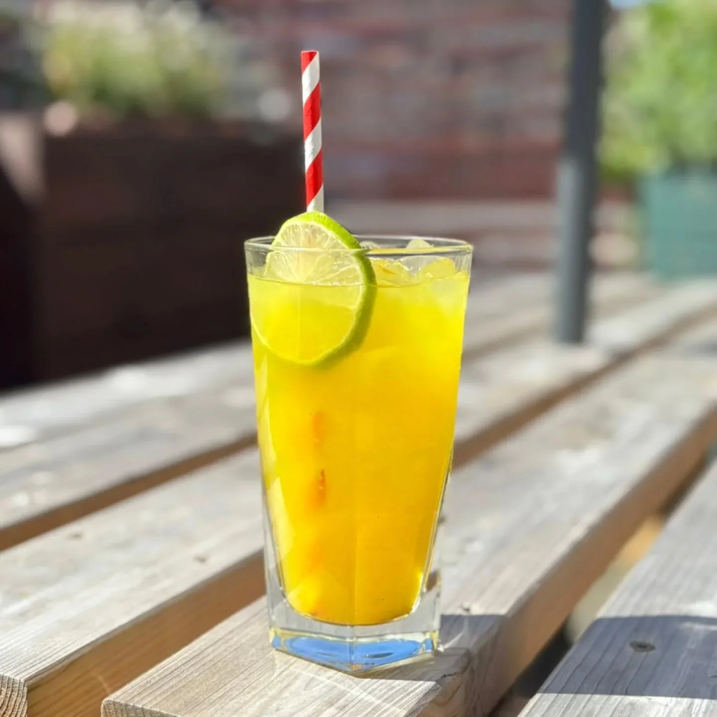 Turmeric &amp; Ginger Soda
Freshly juiced turmeric &amp; ginger topped with soda water &amp; agave served on ice with a slice 

Refreshing &amp; full of anti-inflammatory properties 💪