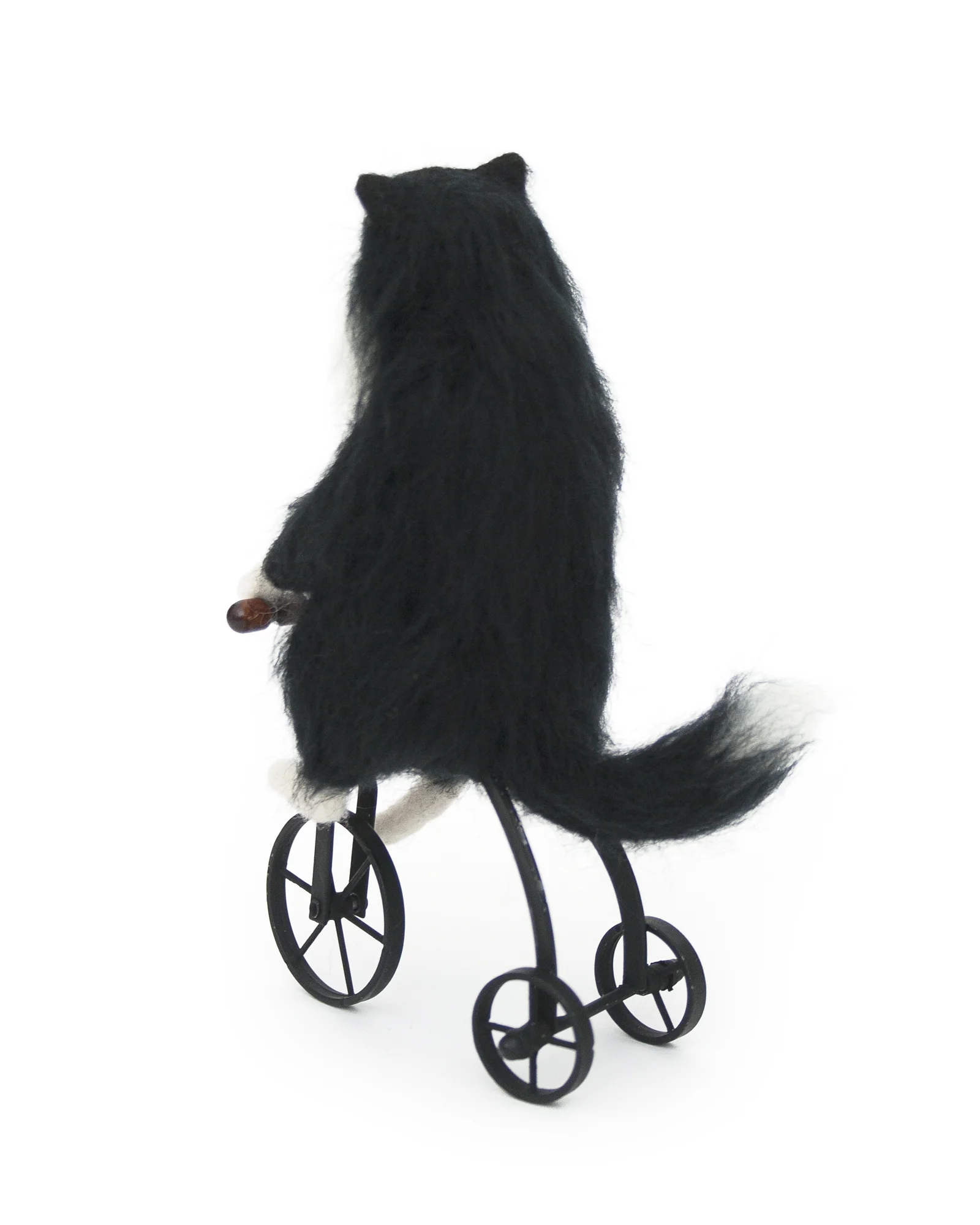 Cat on Tricycle