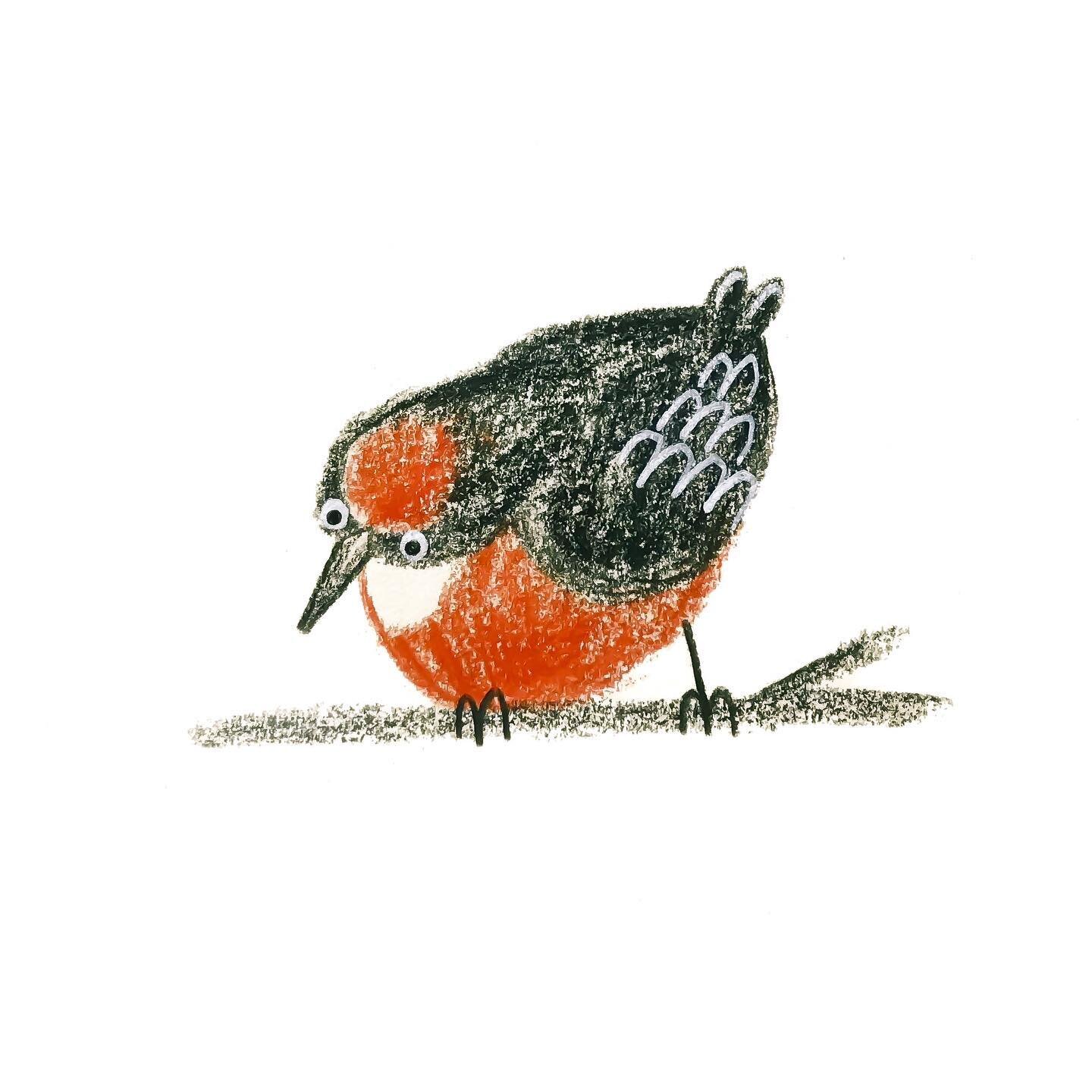 A crimson chat for day 24 of #birbfest2024 hosted by @monkeymintaka . I wonder what he&rsquo;s spotted? 
&bull;
&bull;
&bull;
#sketchaday #dailychallenge #kidsillustration #picturebookartist #crimsonchat