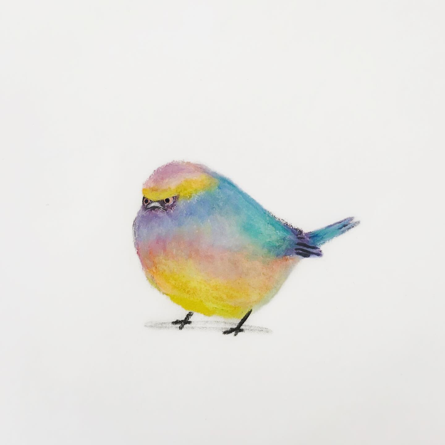 &ldquo;I&rsquo;m not cute okay? I descended from dinosaurs!&rdquo;
The final birb of #birbfest2024 hosted by @monkeymintaka is a white-browned tit-warbler. They are the most adorable rainbow coloured balls of fluffy cuteness and there&rsquo;s nothing