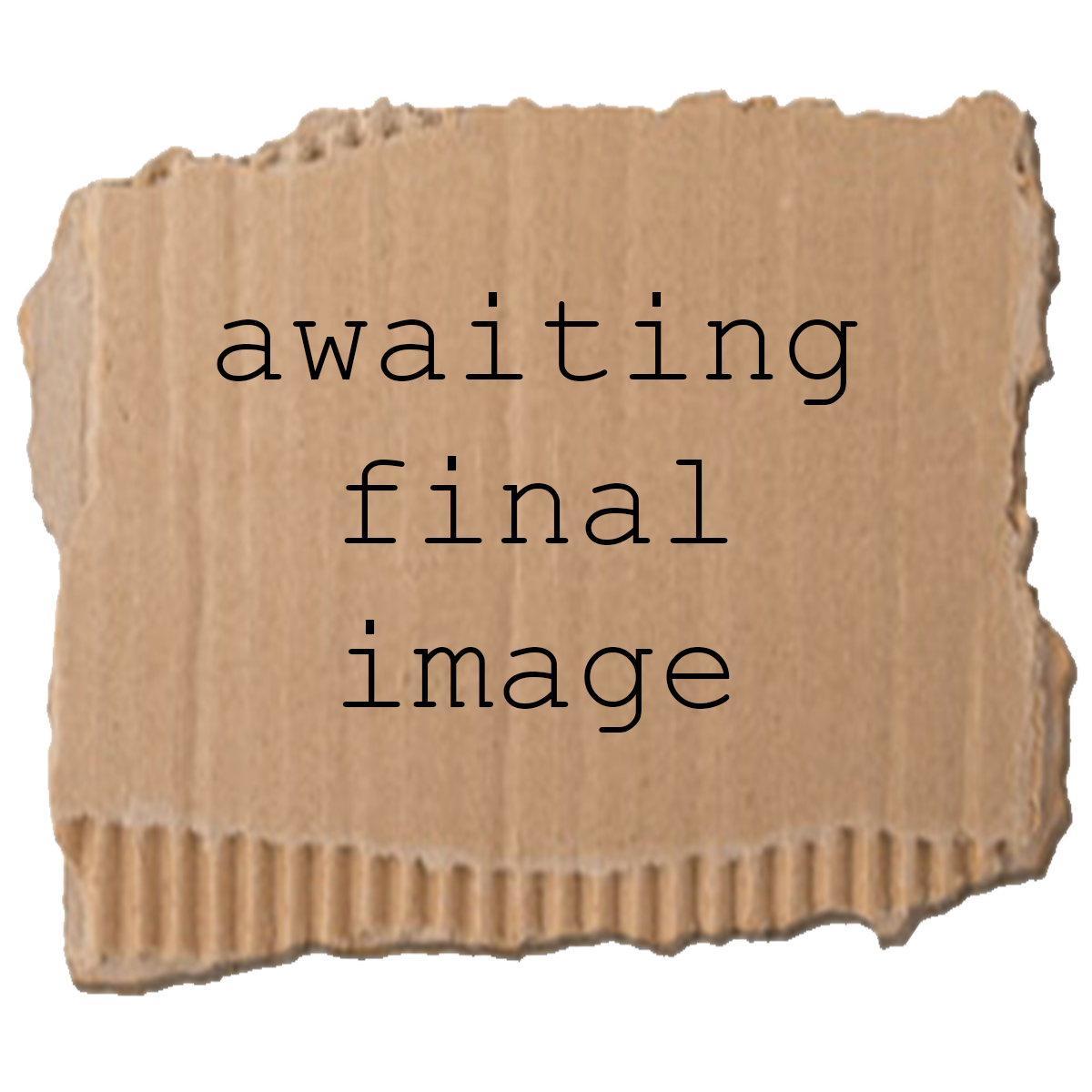 awaitingimage.png
