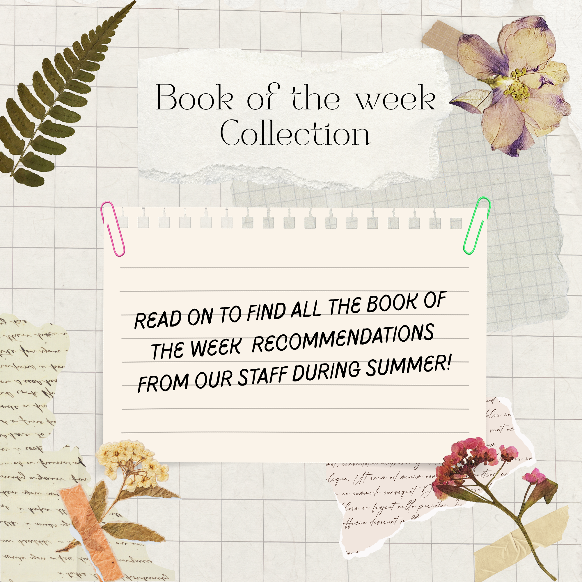 Book of the Week Collection 📙🌻