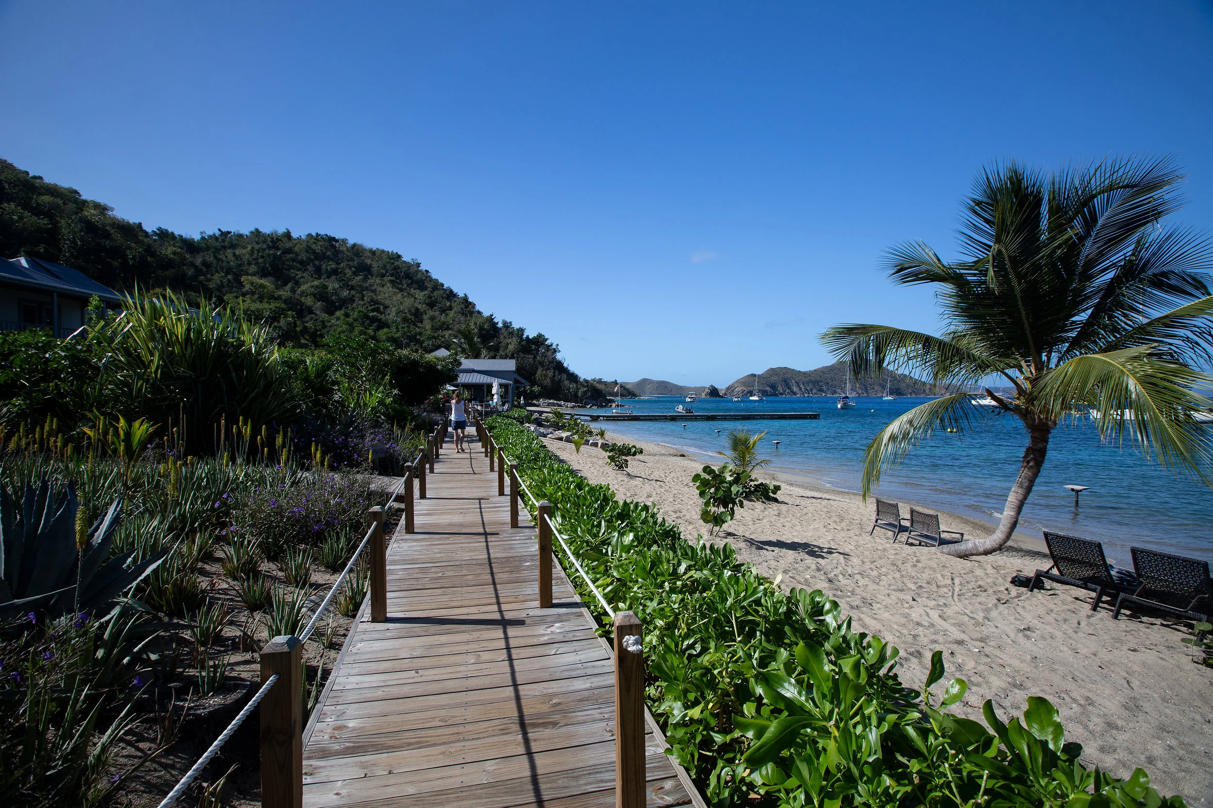 cooper island beach club