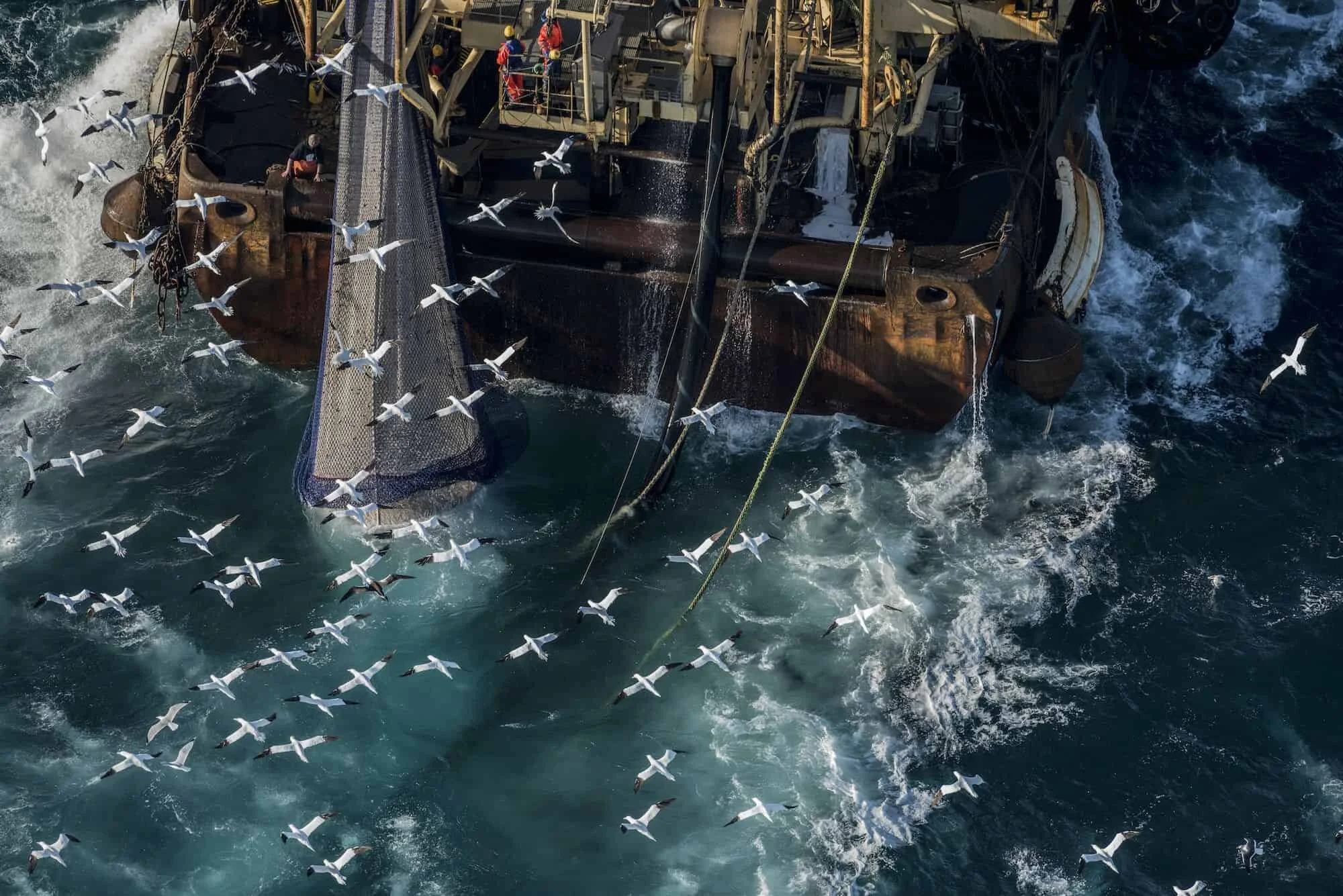 Dokumentarenes “konspiratoriske” inntog