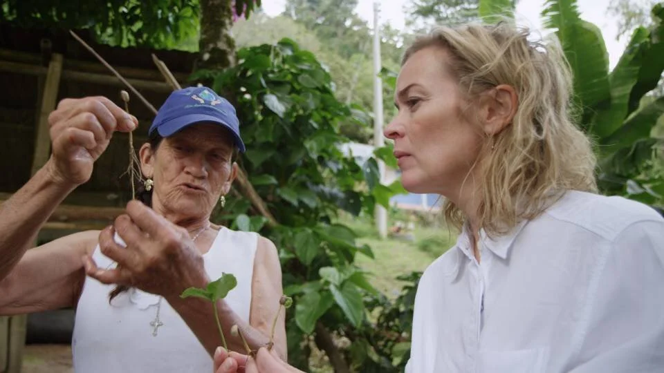 Opphavsrett: Viafree / Foto: Viafree