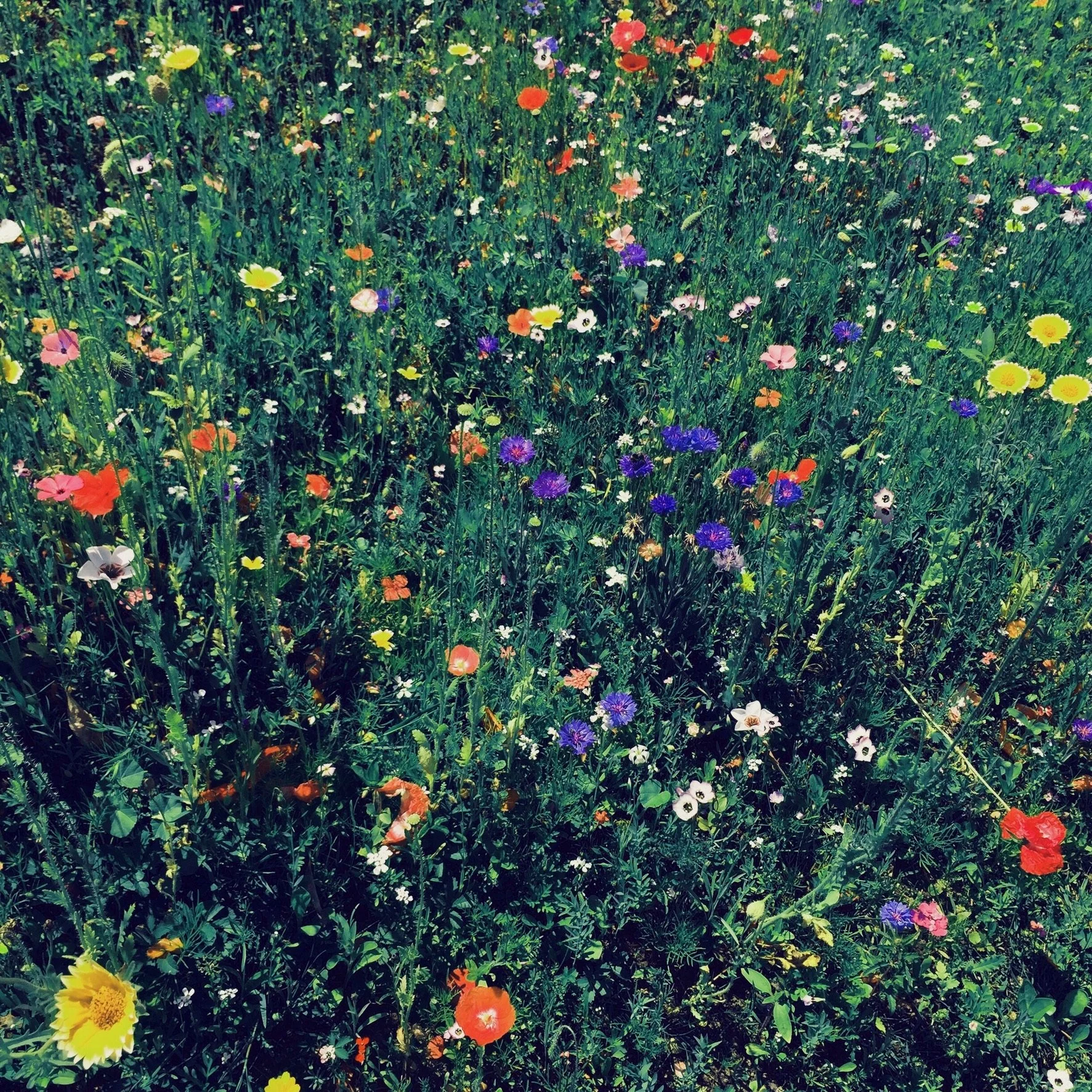 The Return of the Romantic Age