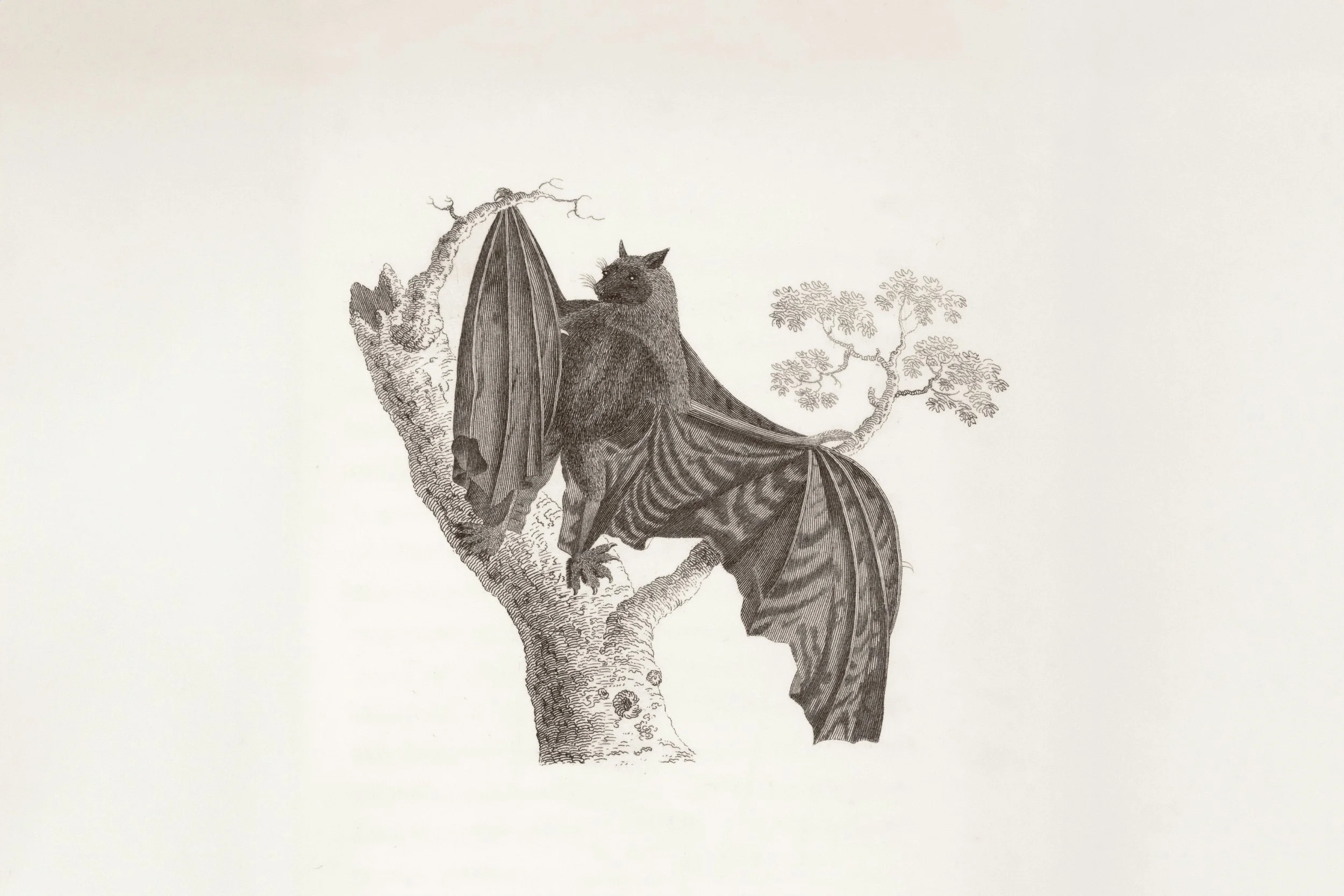 Den gotiske tidsånden er gjenferdet som skraper på 2020-tallets dør 