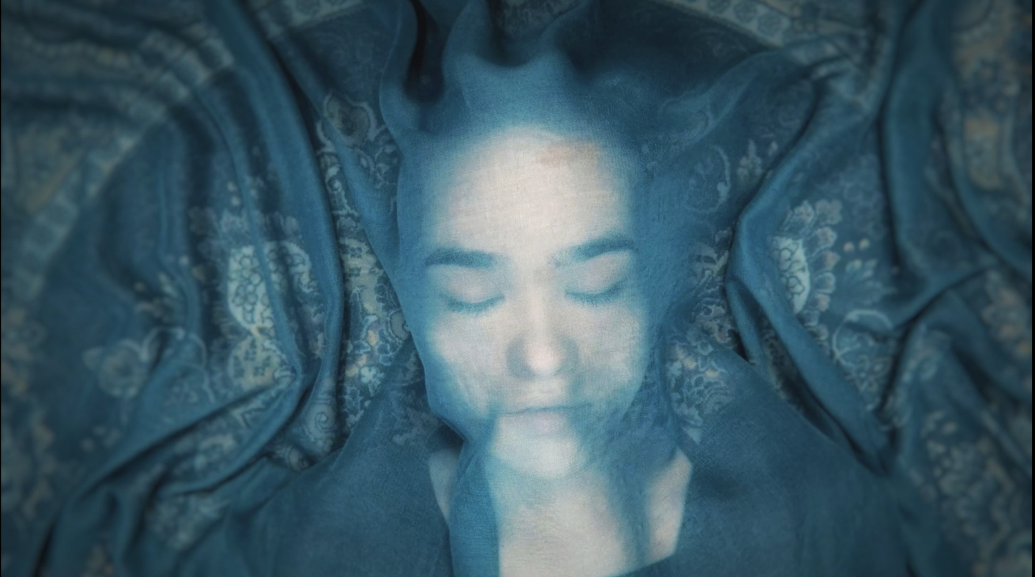 A Fox Under A Pink Moon 