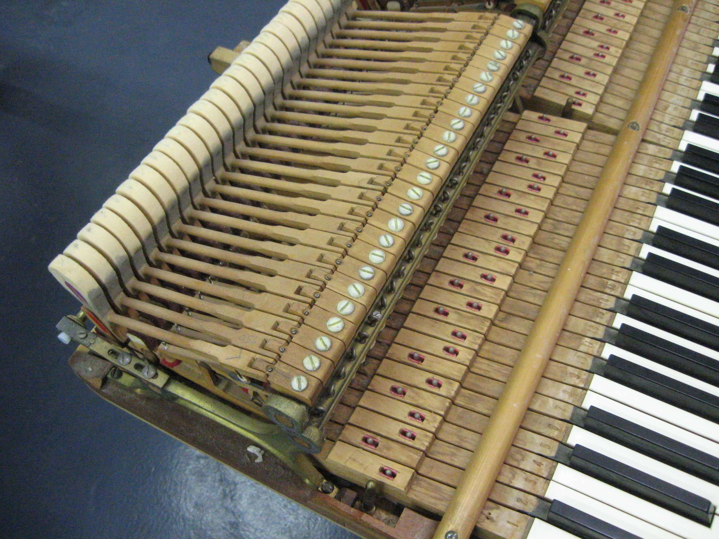 The keys and action as it arrived, bass view.JPG