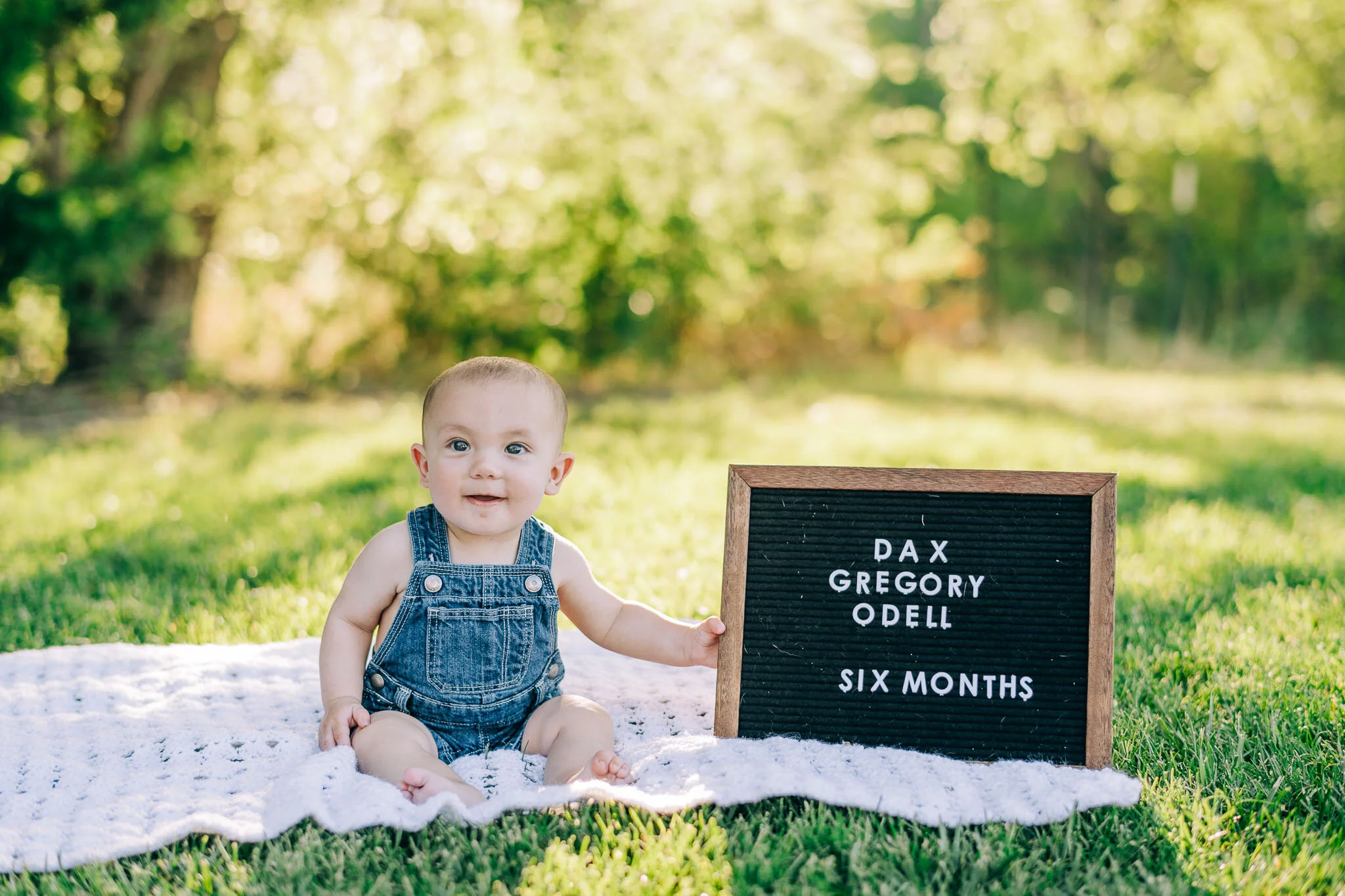 Dax | Amarillo 6 month Session