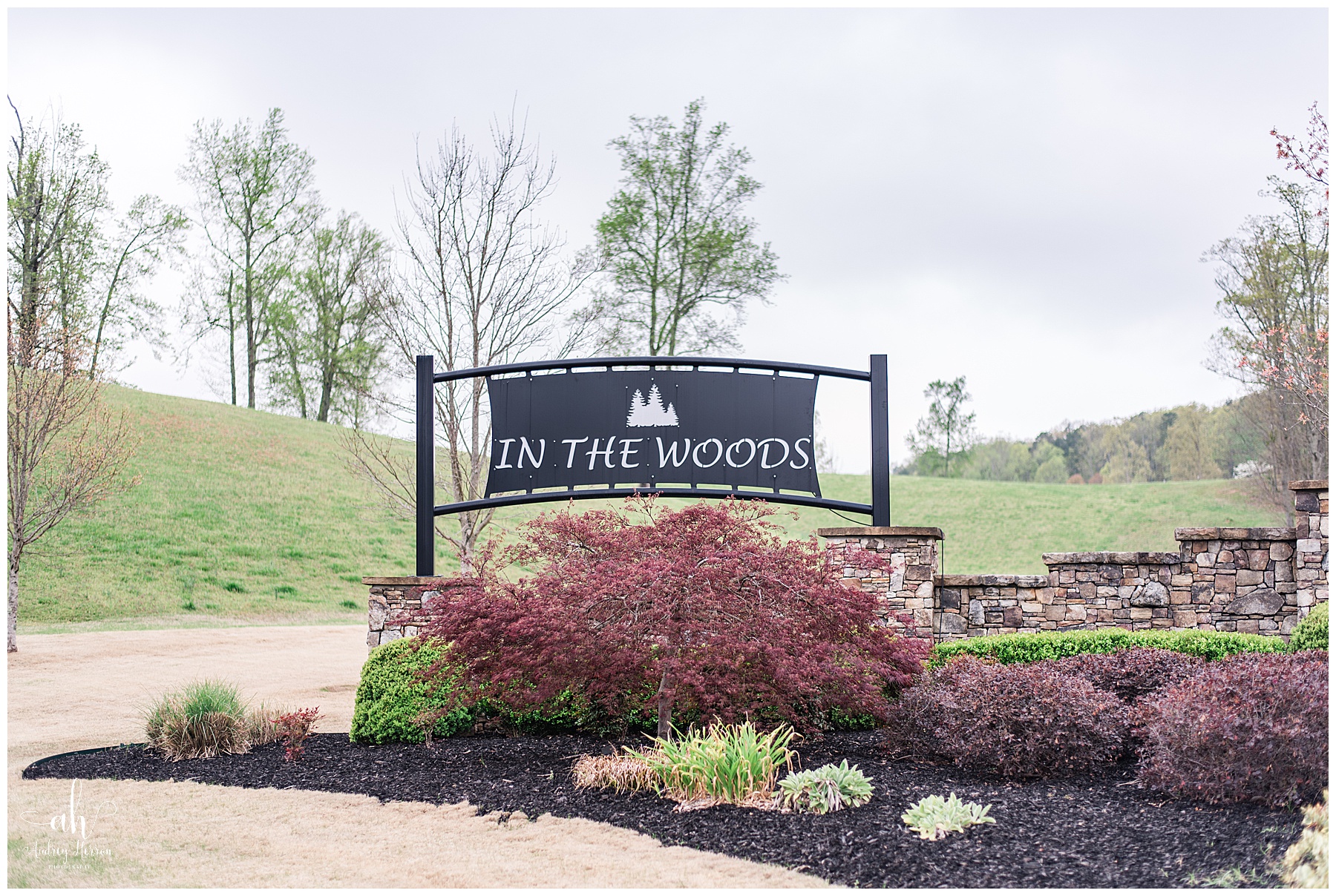 In the Woods, In the Woods Wedding, In the Woods Rockmart Georgia, Southern Wedding, Lake wedding, Lakeside wedding, North Georgia Wedding, North Georgia Wedding Photographer