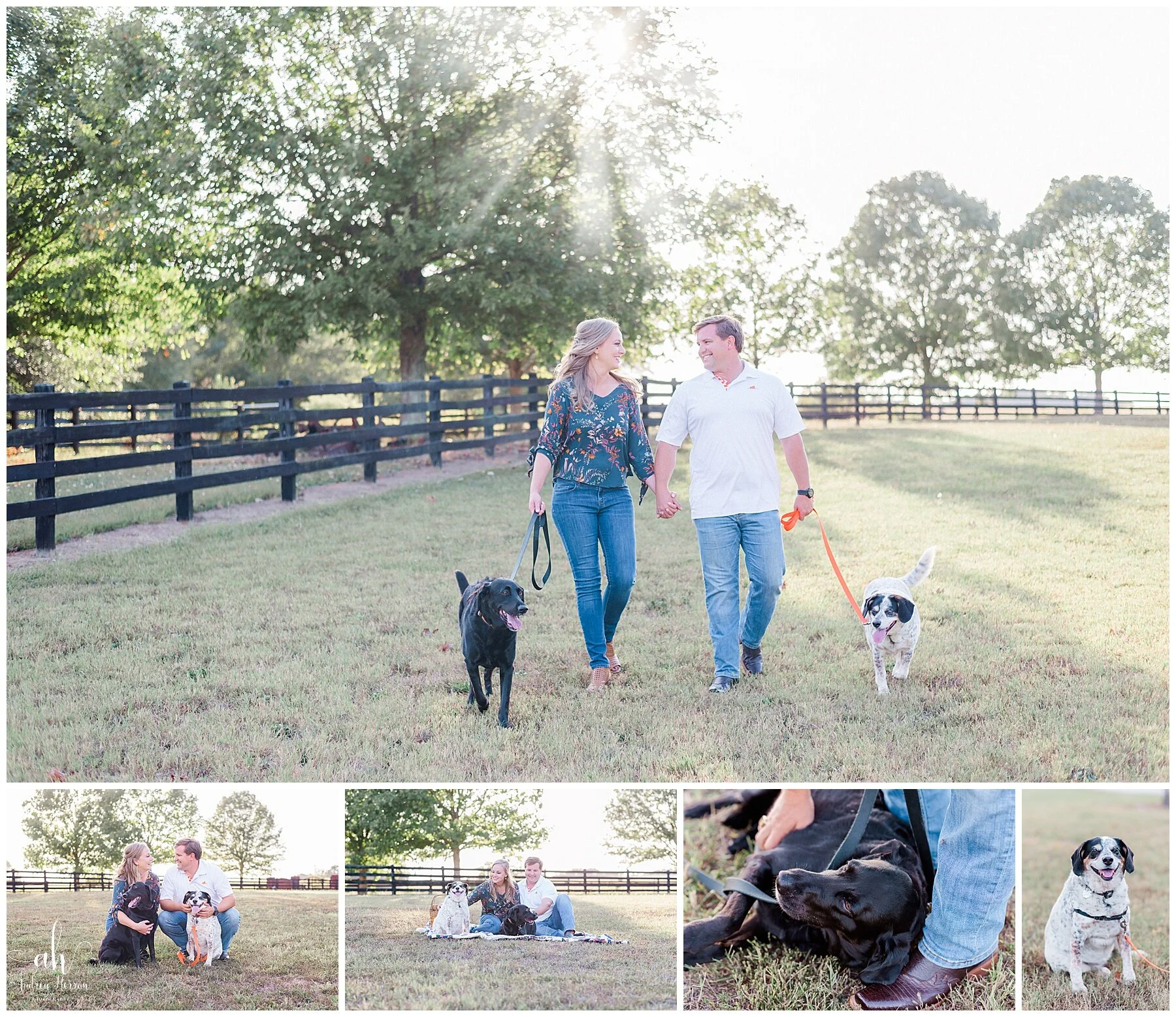 Georgia engagement, farm engagement, Athens, Athens Georgia, Georgia Engagement Photographer, Athens Engagement Photographer, Farm Engagement