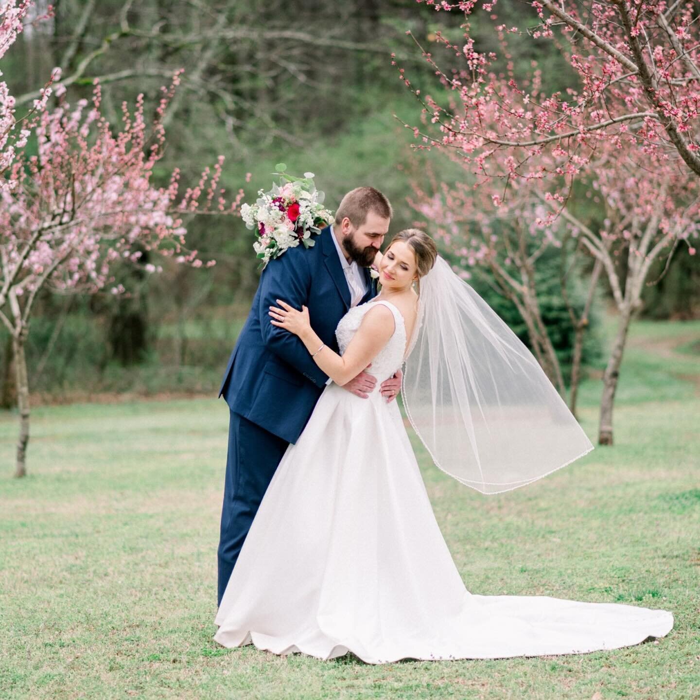 Introducing Mr. &amp; Mrs. Harness! 

What a sweet spring wedding at 2425 Warehouse on Saturday! We dodged the rain and got some stunning photos in the peach orchard. I&rsquo;m so happy for this sweet couple&mdash;congratulations!! 

#audreyherron #a