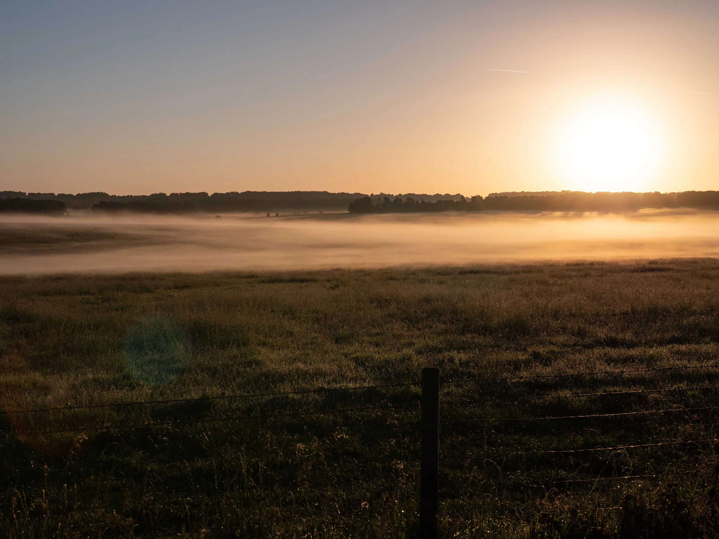 BBC Wilts Summer Solstice-81.jpg