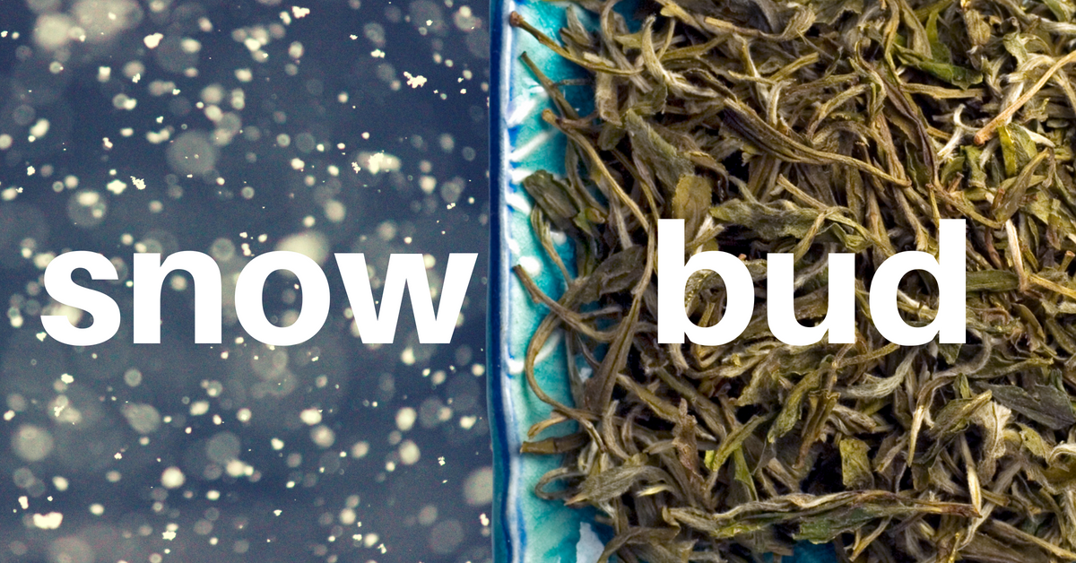 snowbud.png