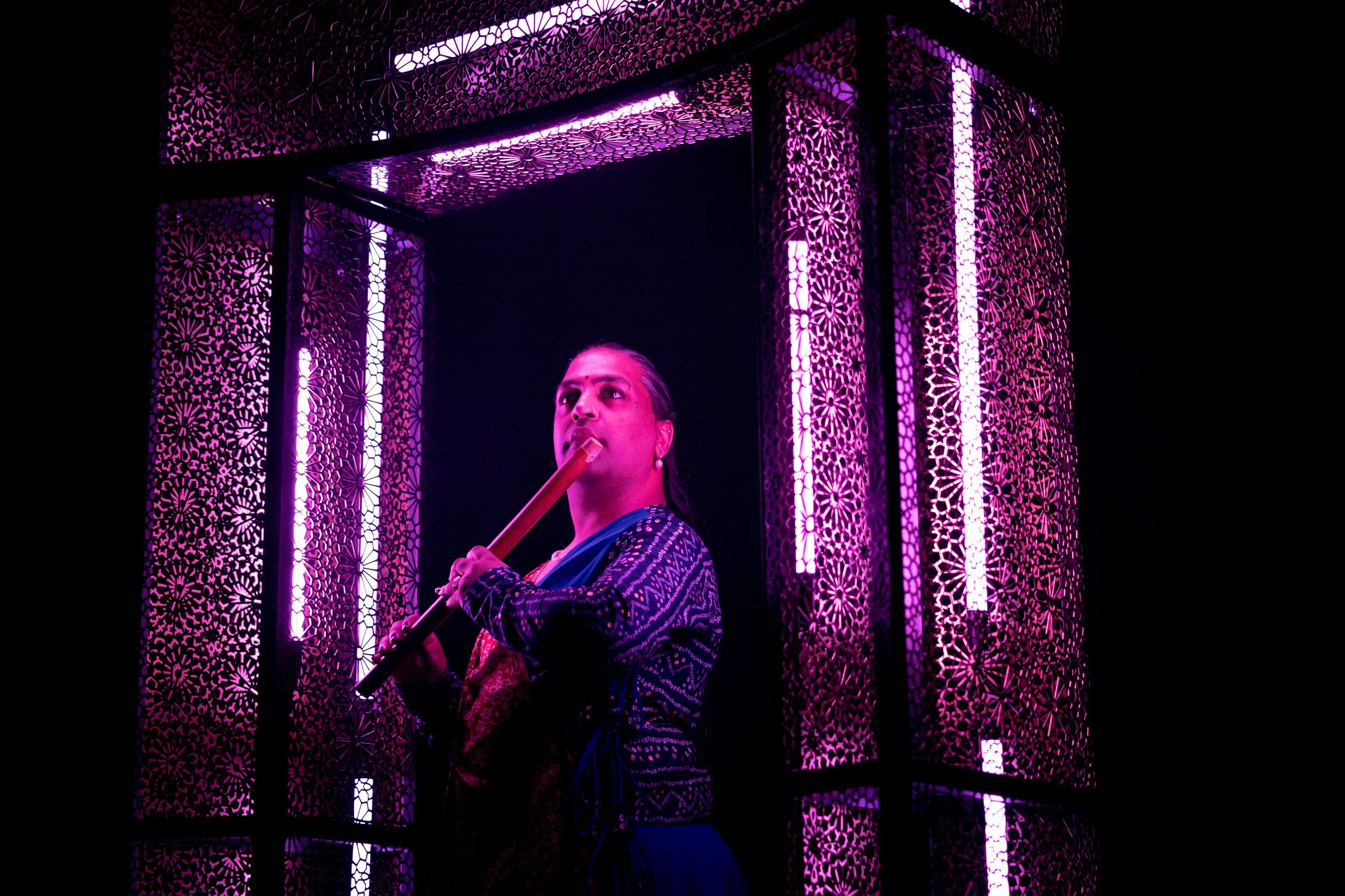 Jaivant Patel Kala Sangam-1831 3.JPG