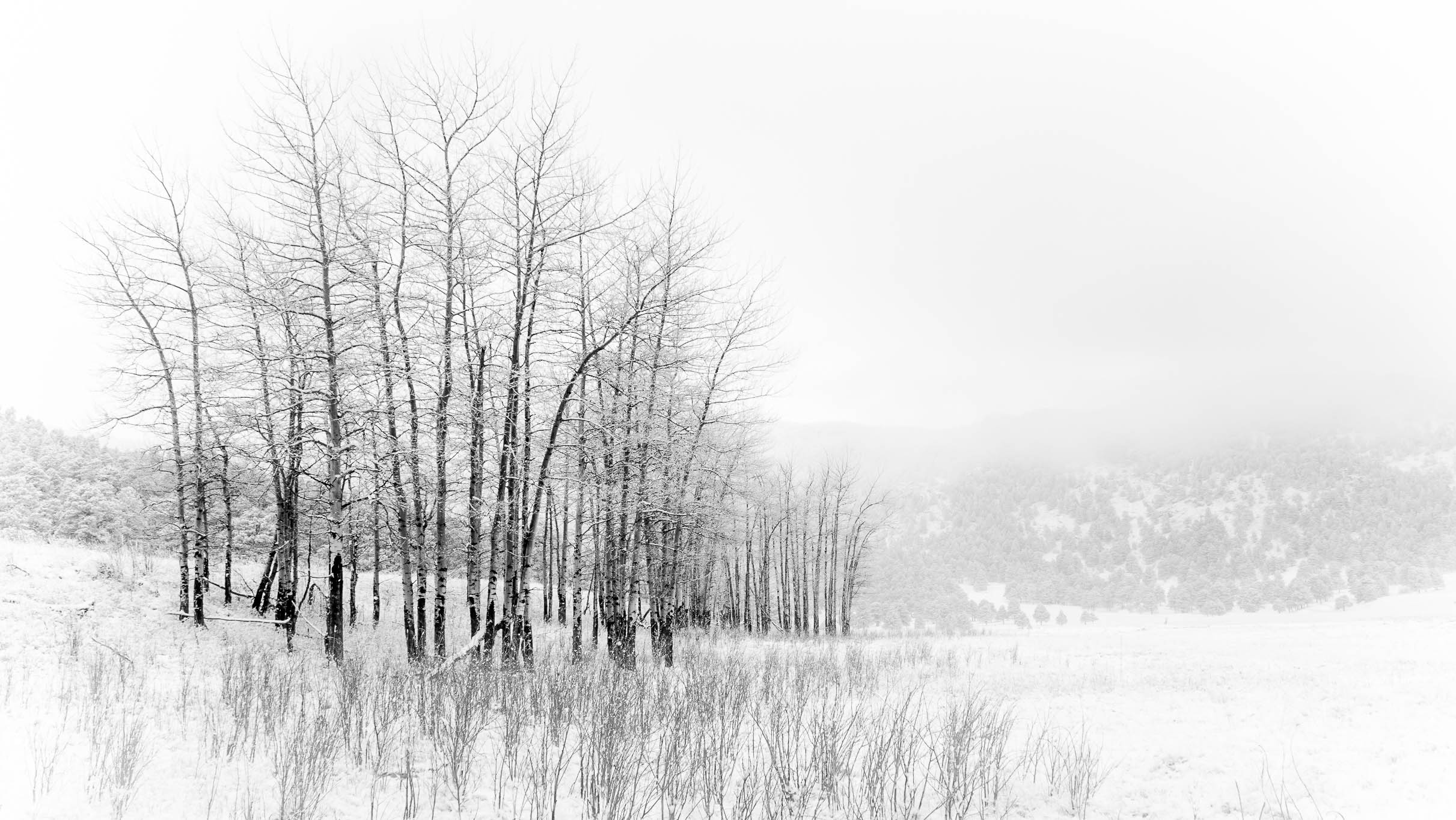 8F51E28D-C040-4675-A93E-ECFF6F043EED.jpeg