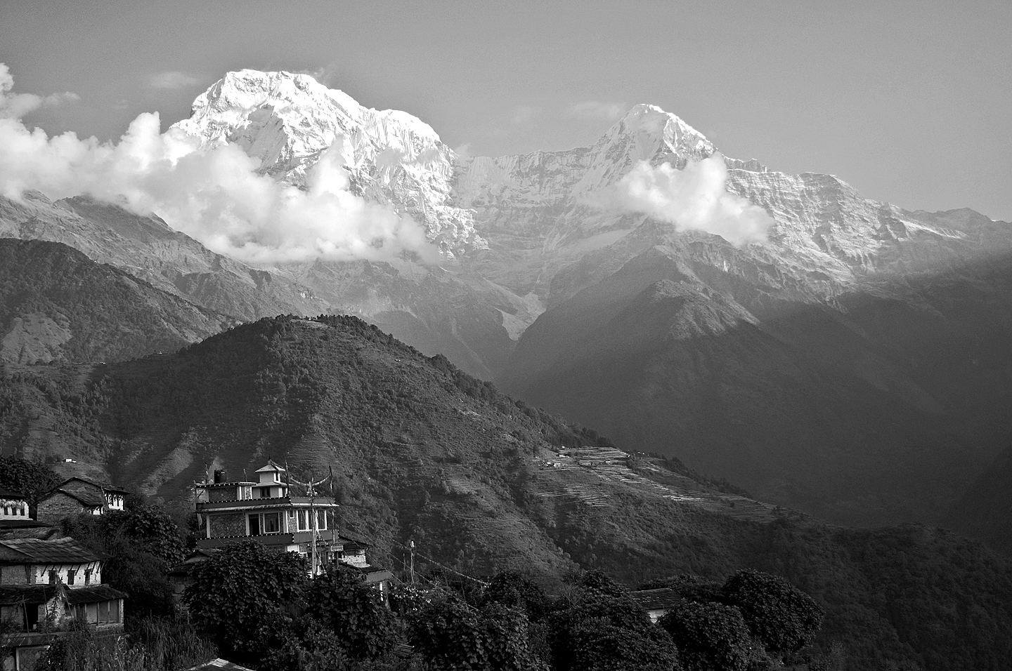 cDSC_0298bw.jpg