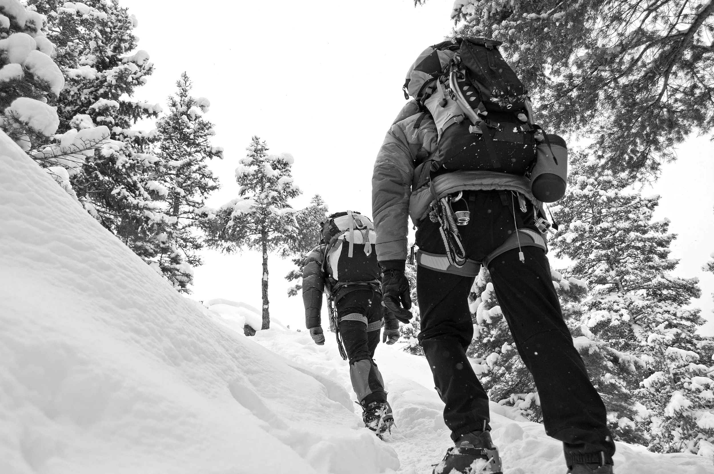 DSC_0173 BW.jpg