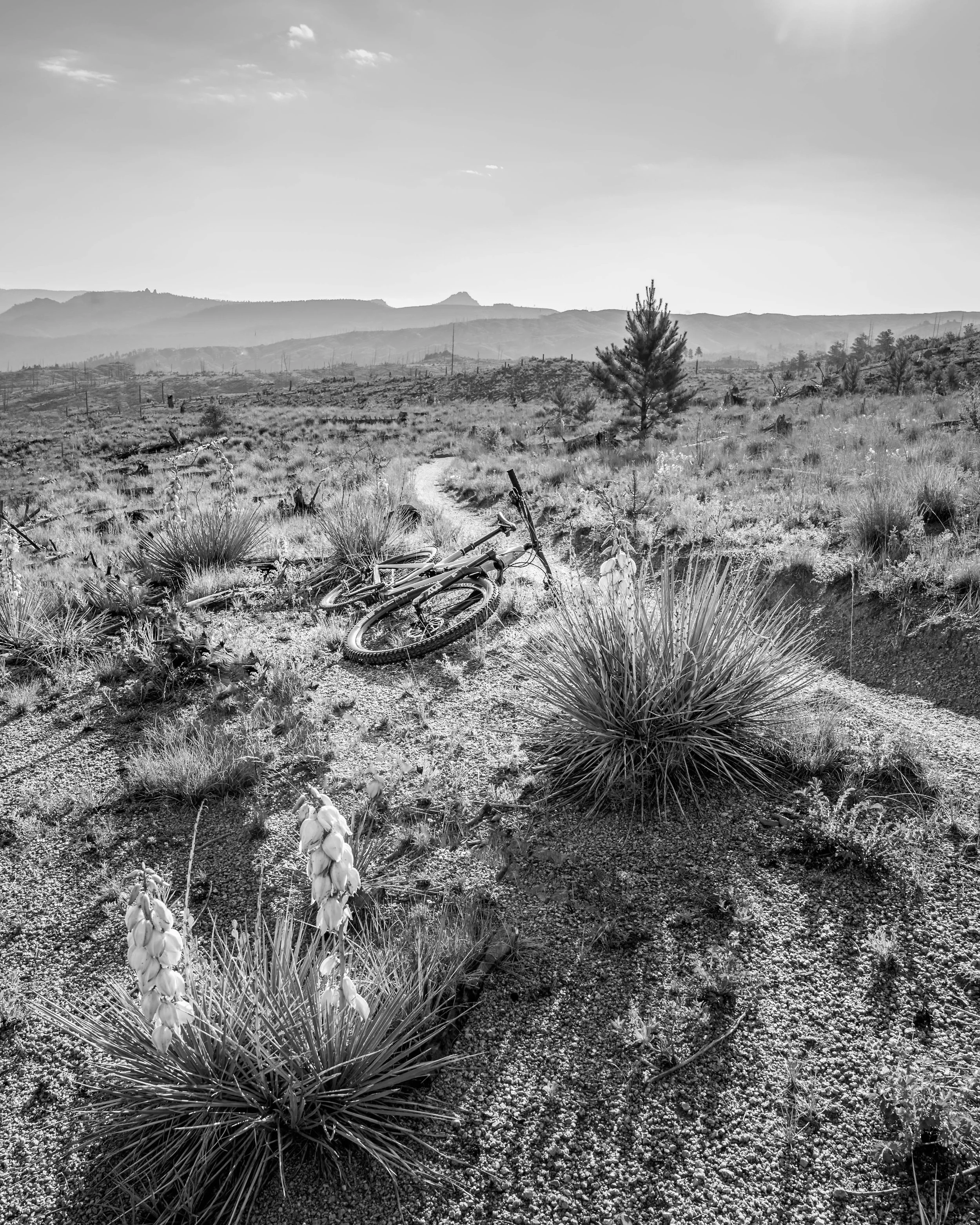 DSC_6630-Edit-2-2.jpg