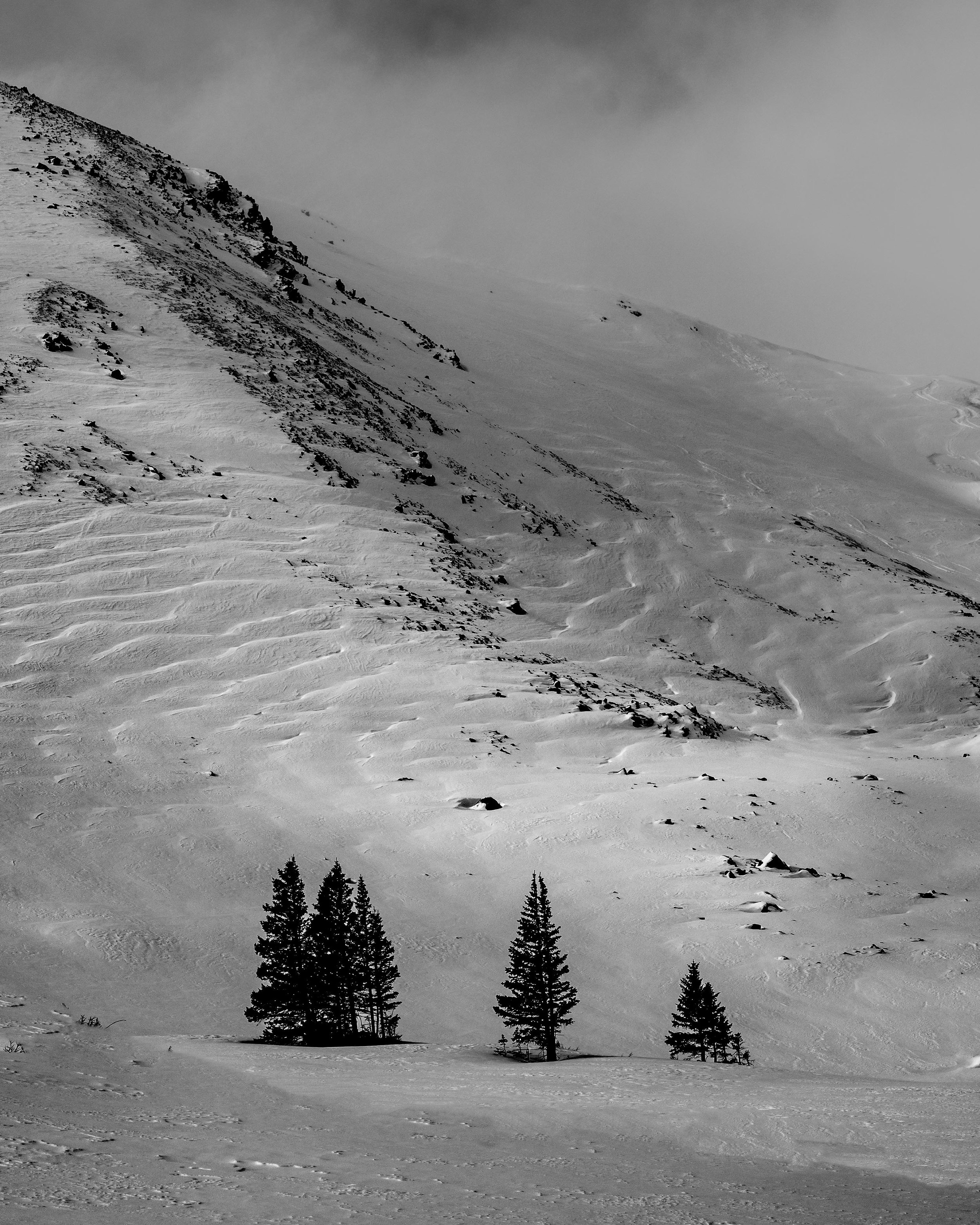 DSC_2453a-Edit-2.jpg
