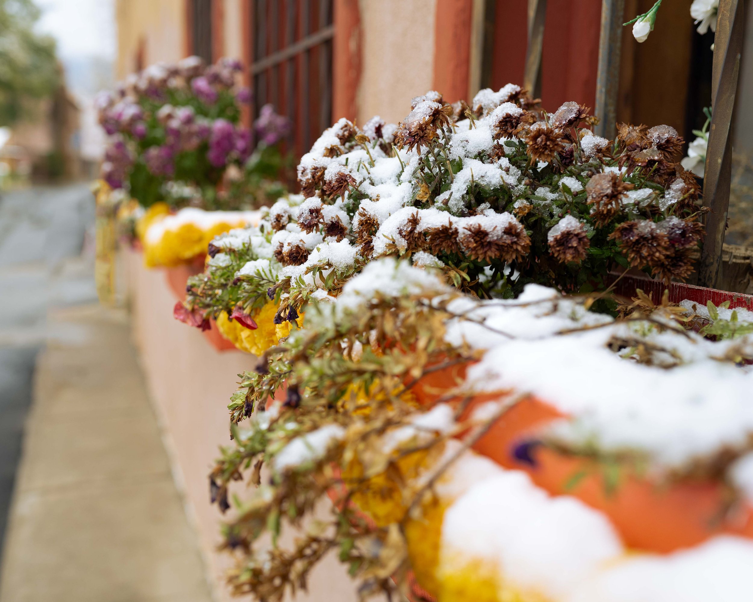 DSC_4057-Edit-2.jpg
