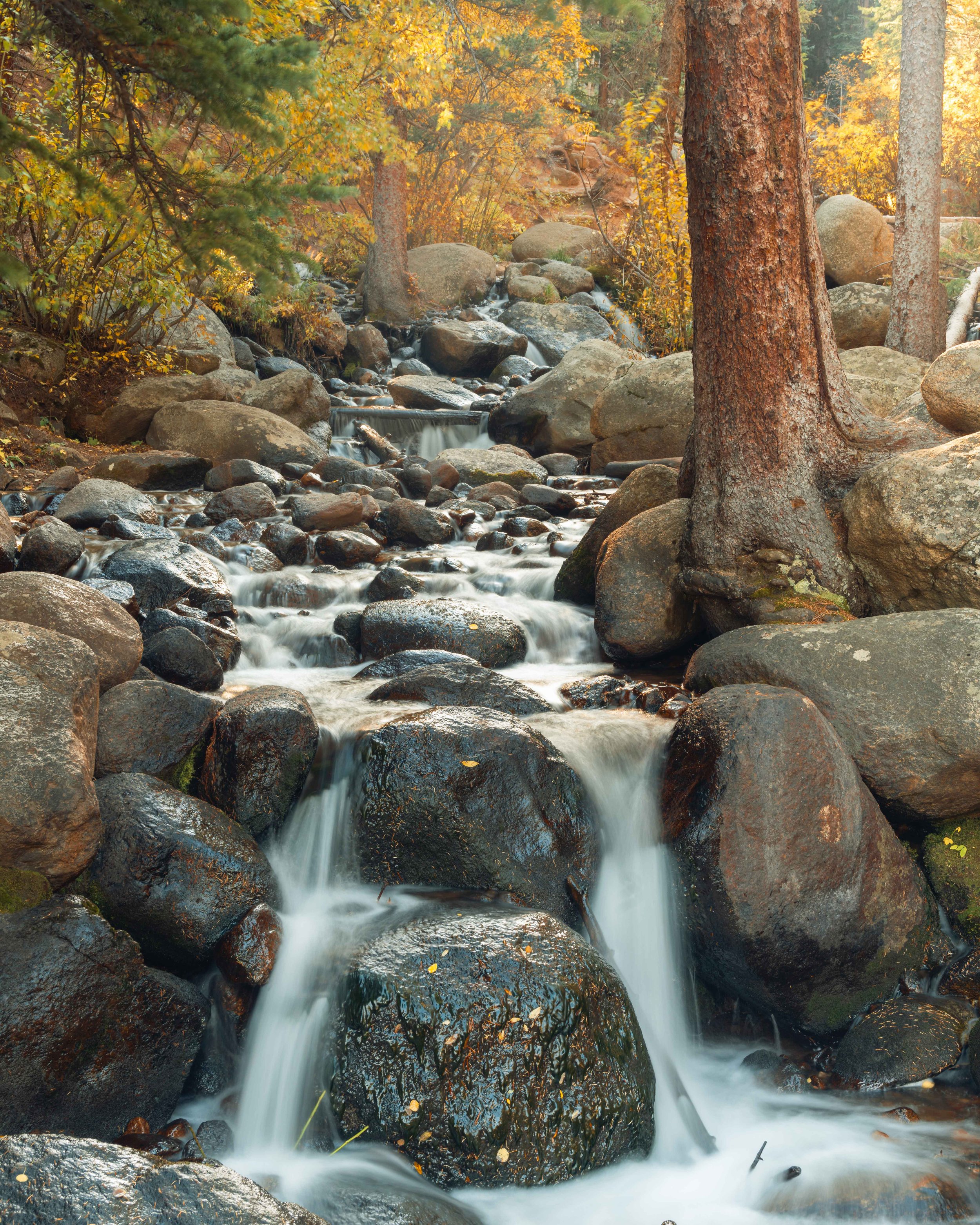 DSC_3694-Edit-2.jpg