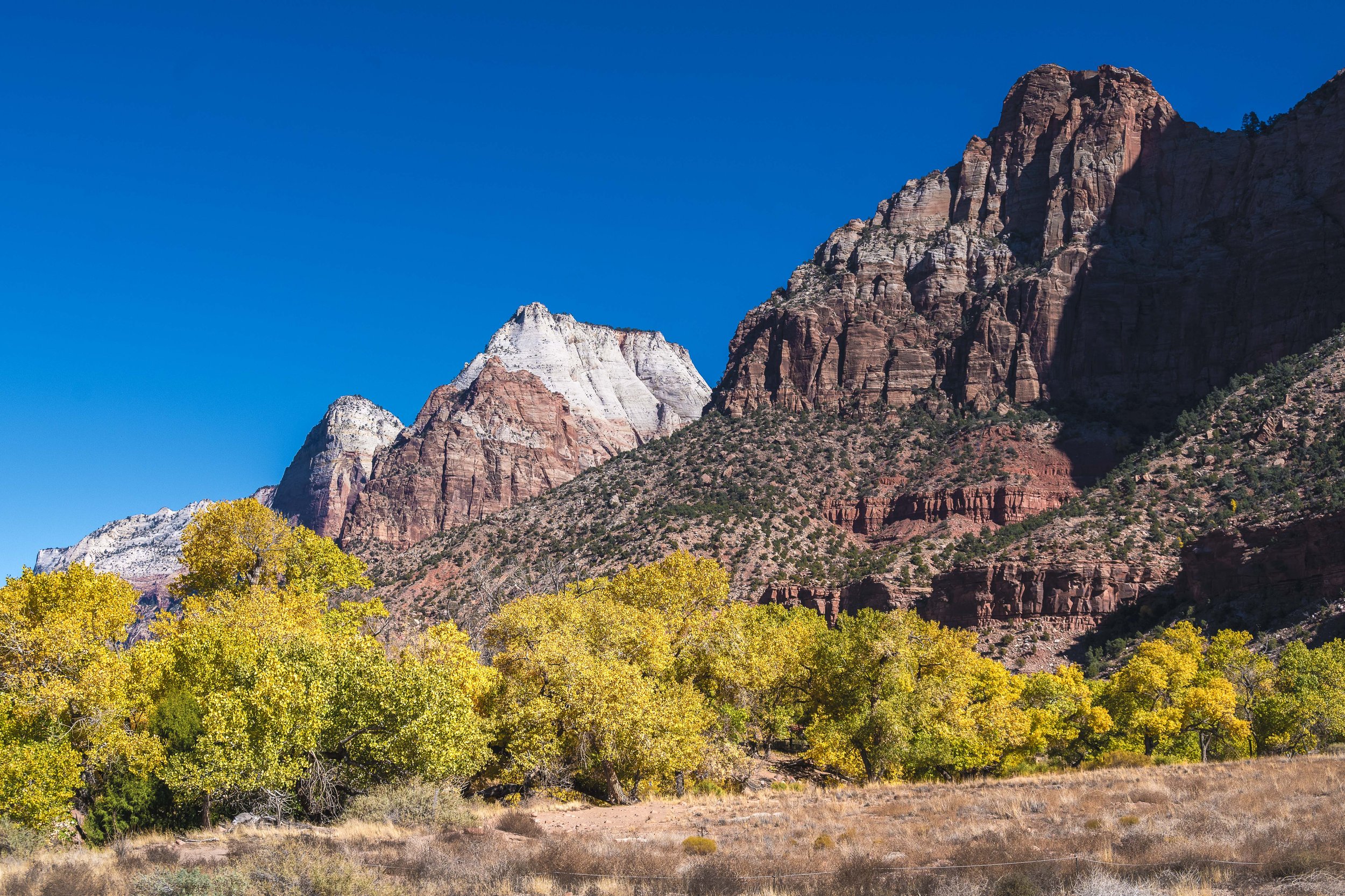 DSC_4674-Edit-2.jpg