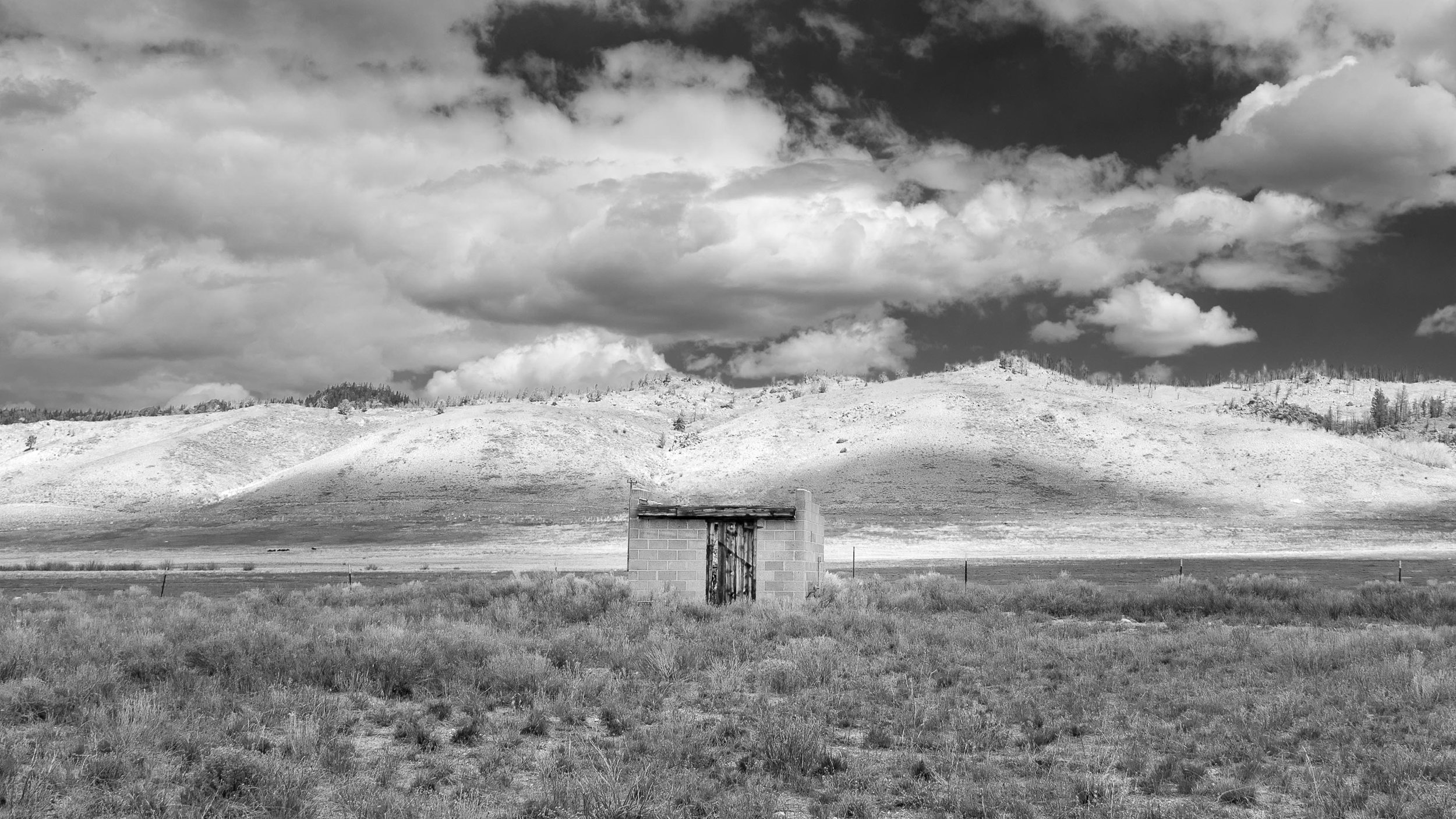 DSC_5821-Edit-2.jpg