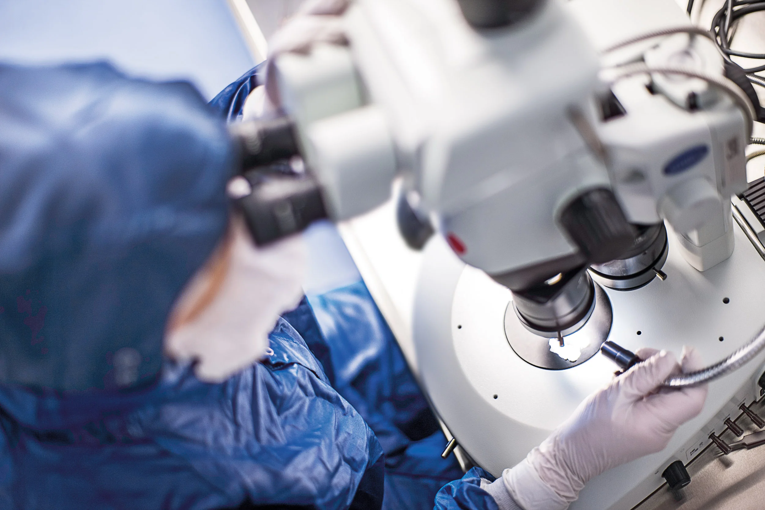 Stereo Microscope-307.jpg