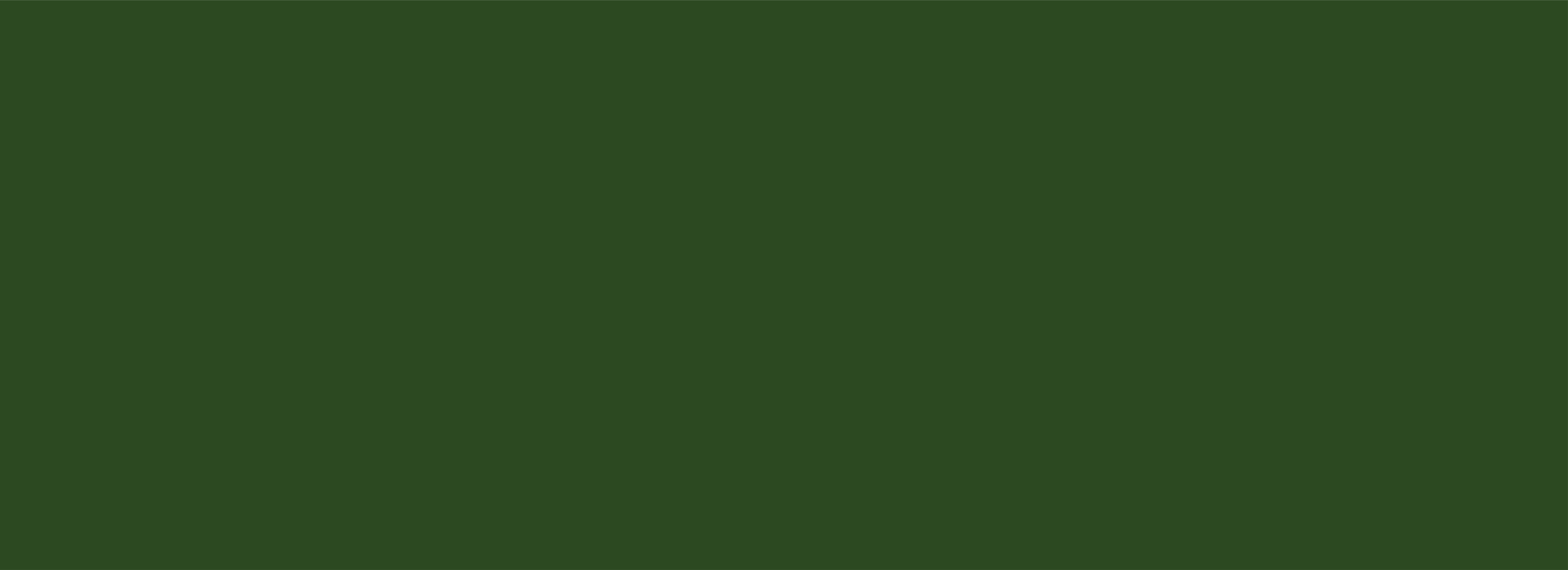 Asset 2@4x.png