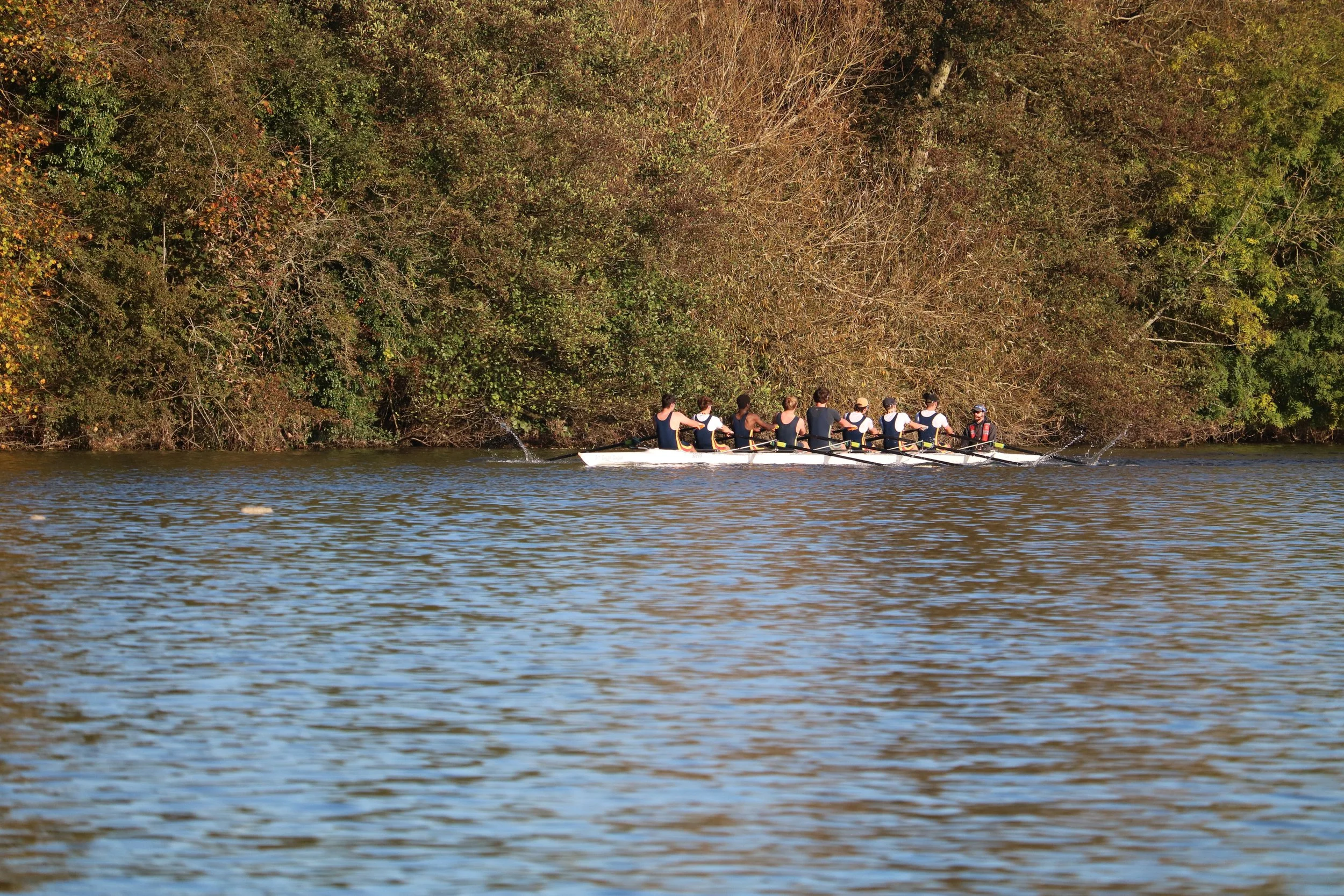 2024 UTAH replacement fixture