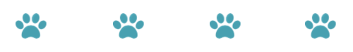 KB Website Divider.png