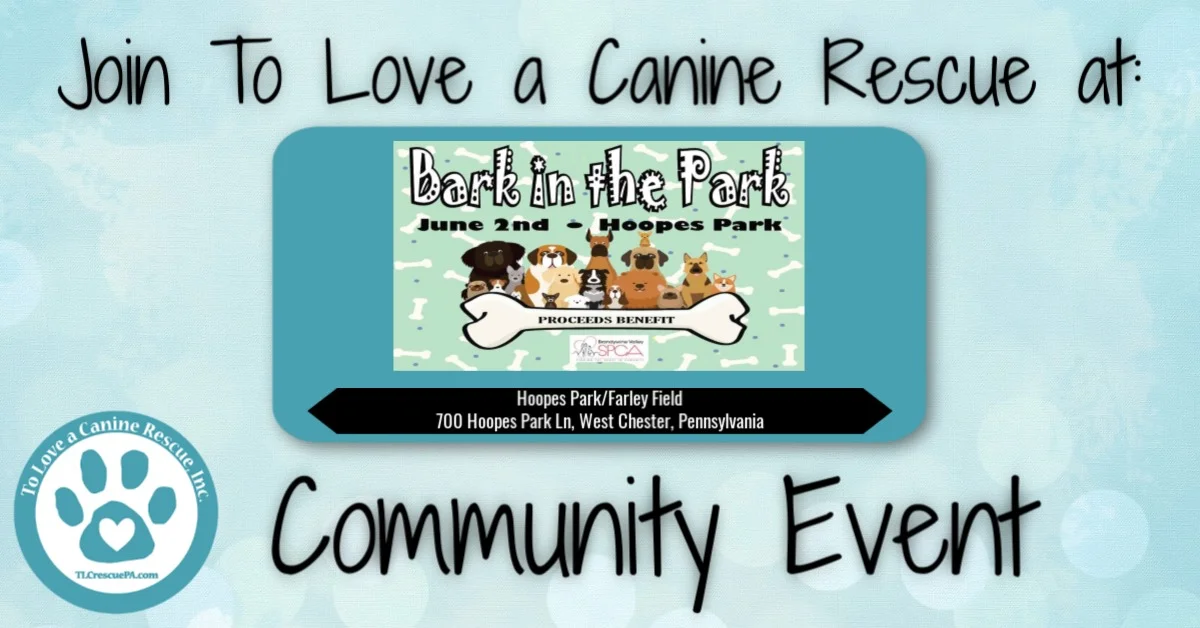 Bark in the Park June 2 2019.jpg