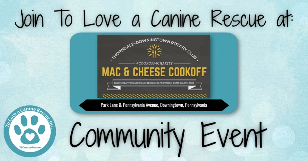 Mac n Cheese Cookoff.jpg