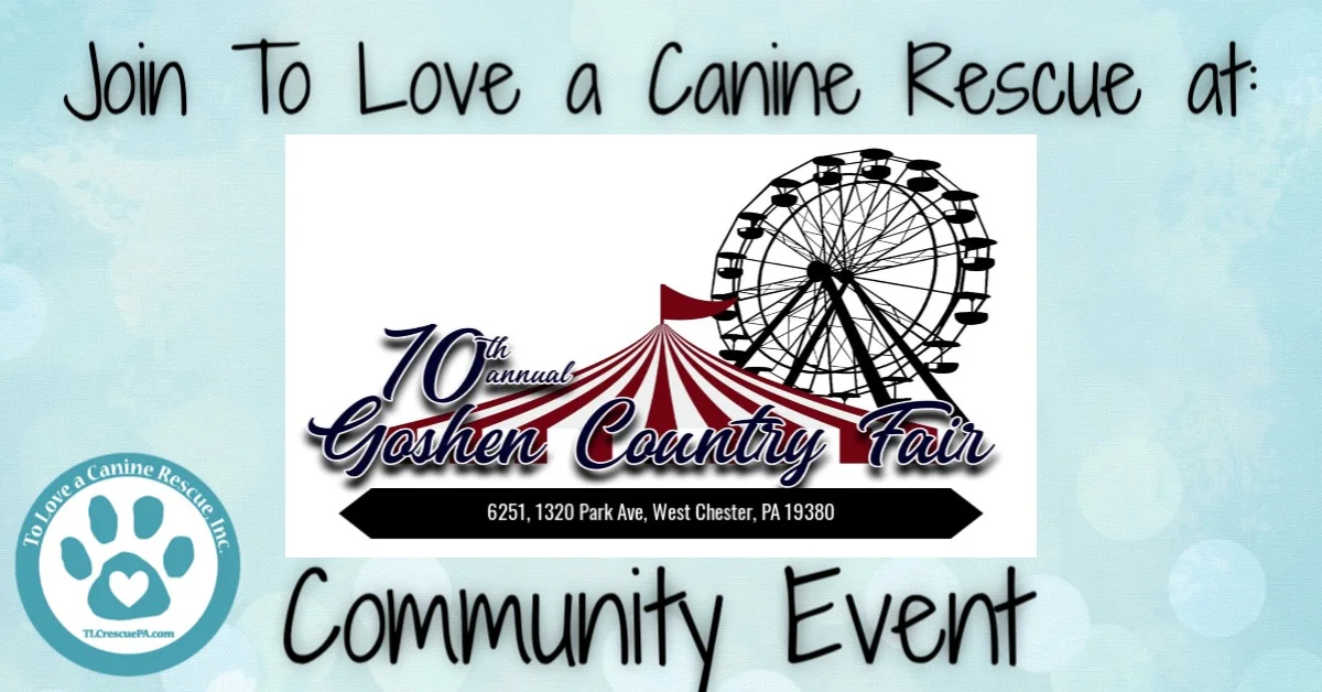 Goshen Fair.jpg