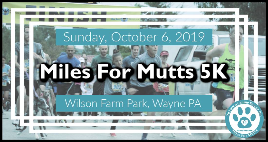 M4M Event Banner.jpg