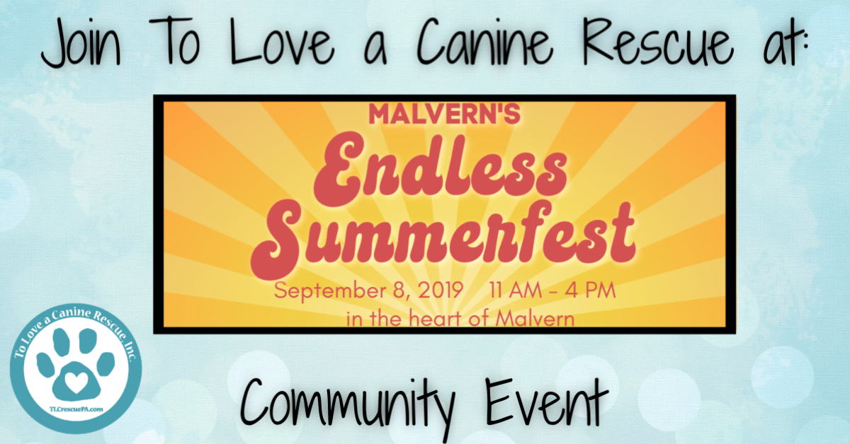 Malvern Summerfest.png