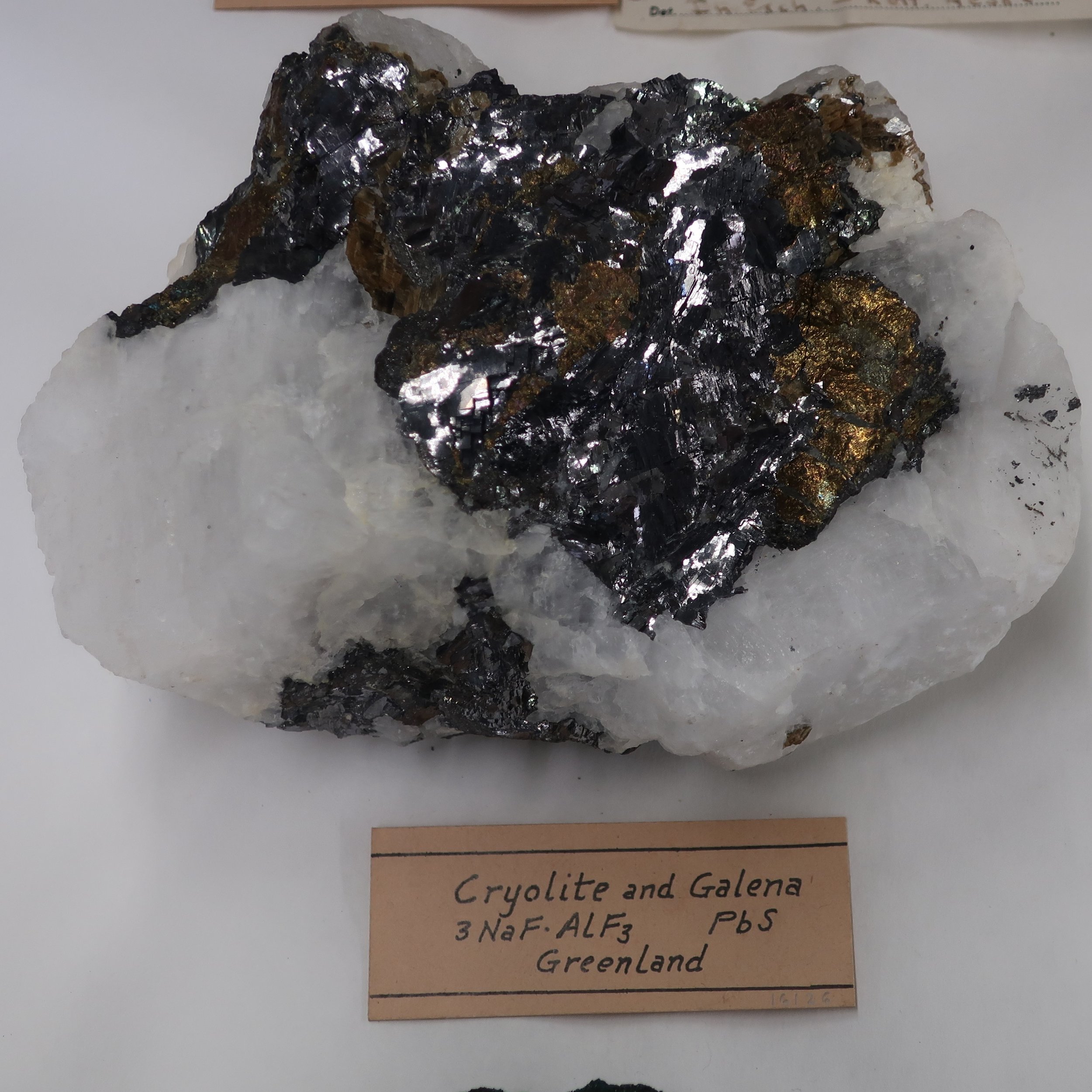 Cryolite w Galena.jpg