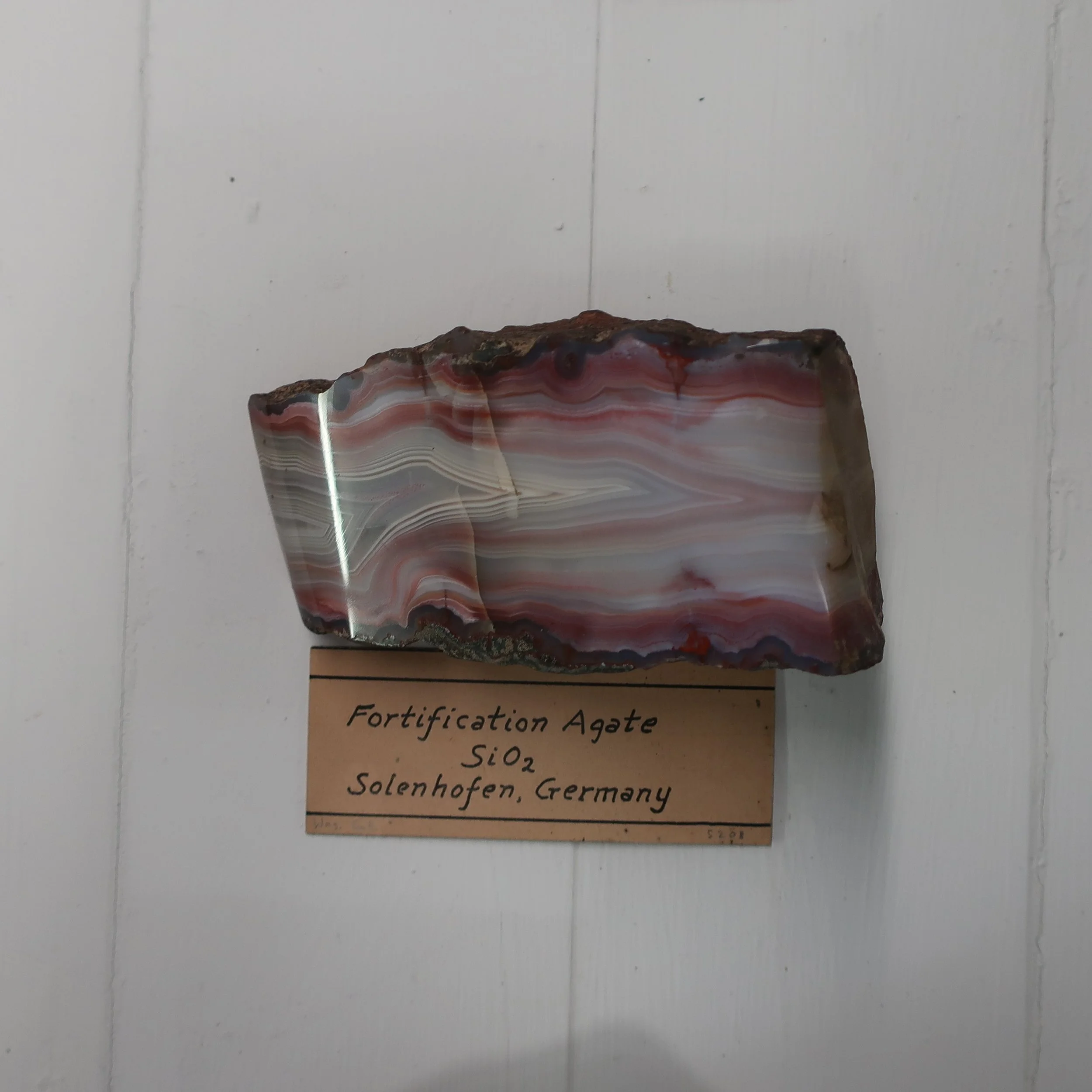 Fortification Agate.jpg