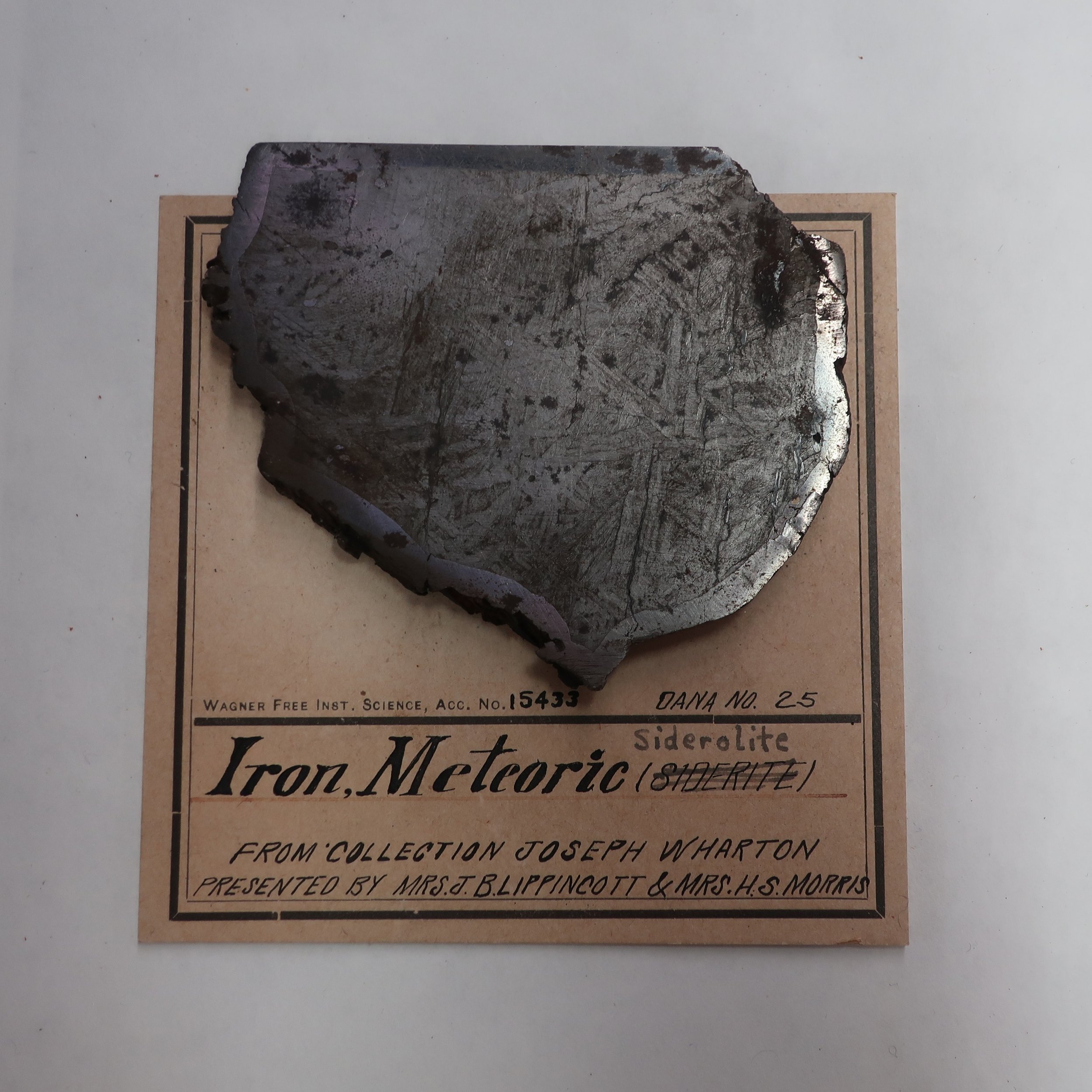 Iron Meteoric Siderolite.jpg