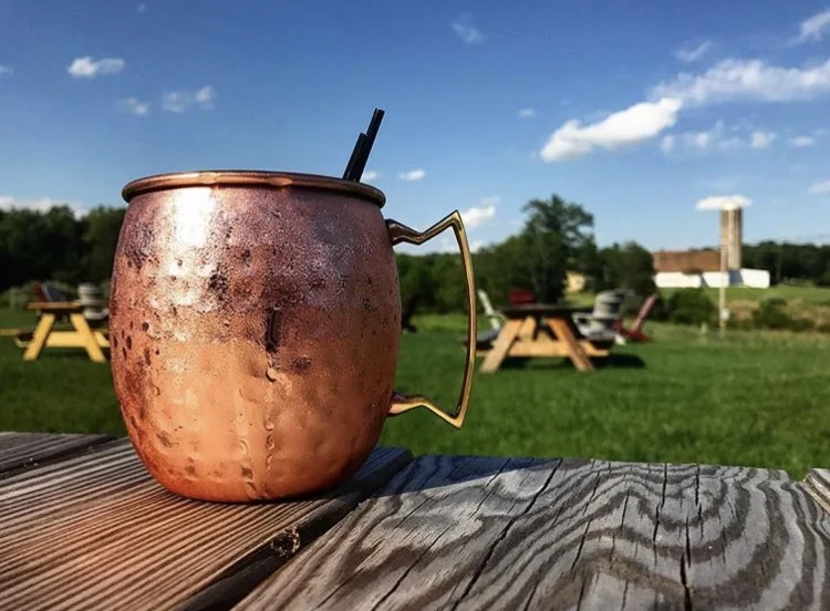 MuleMug.jpg