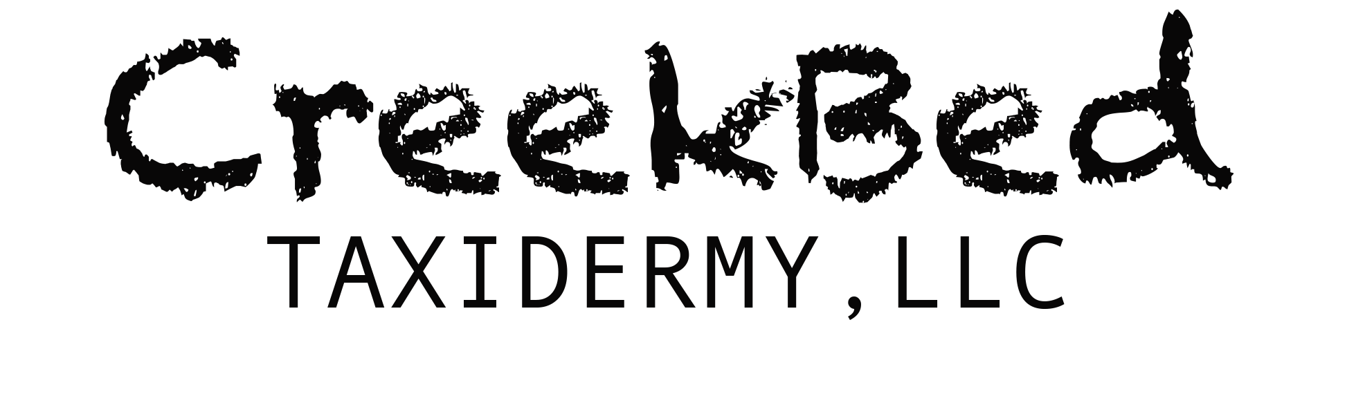 CreekBed Taxidermy
