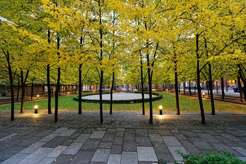 tree lined walkways of Trinity square, a park adjacent to the property
