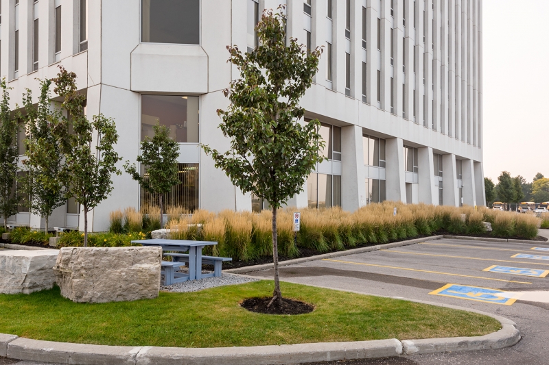 foliage lined exterior of 235 Yorkland Blvd. with picnic bench and accessible parking