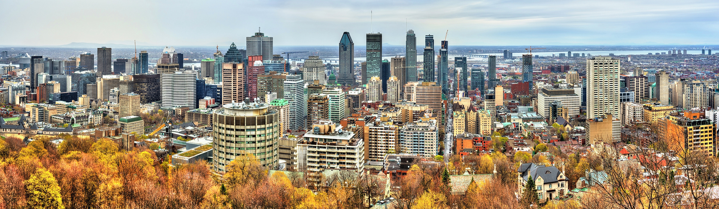 Montreal-BANNER TEST.jpg