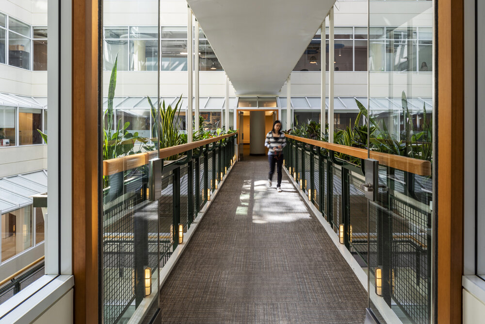 Sunny, plant filled hallways of 207 Queens Quay West